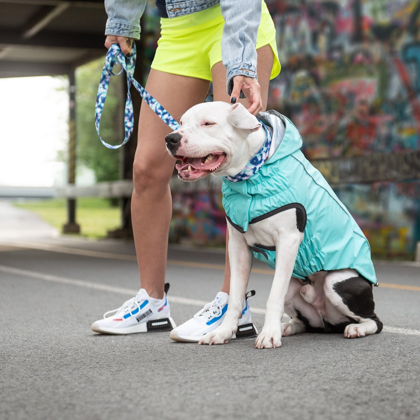 Dog Raincoat – Reversible Neon Aqua Iridescent