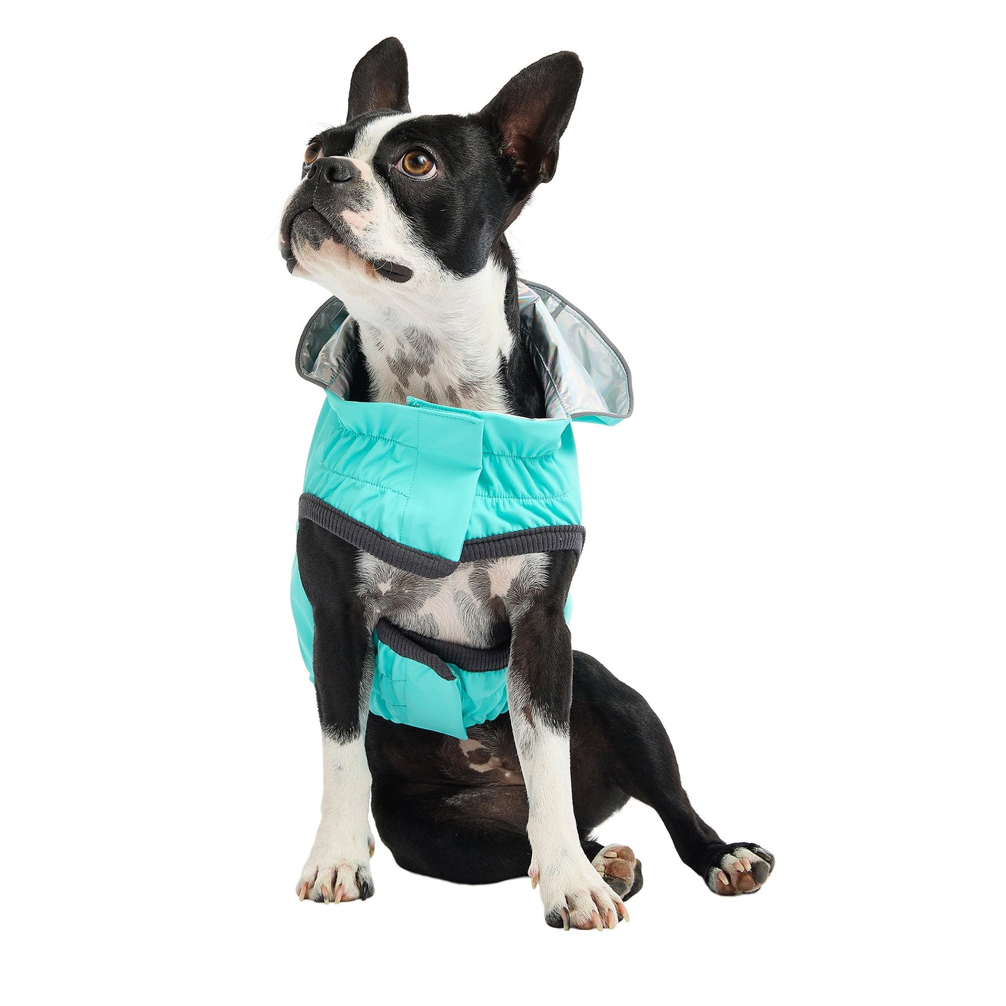 Dog Raincoat – Reversible Neon Aqua Iridescent