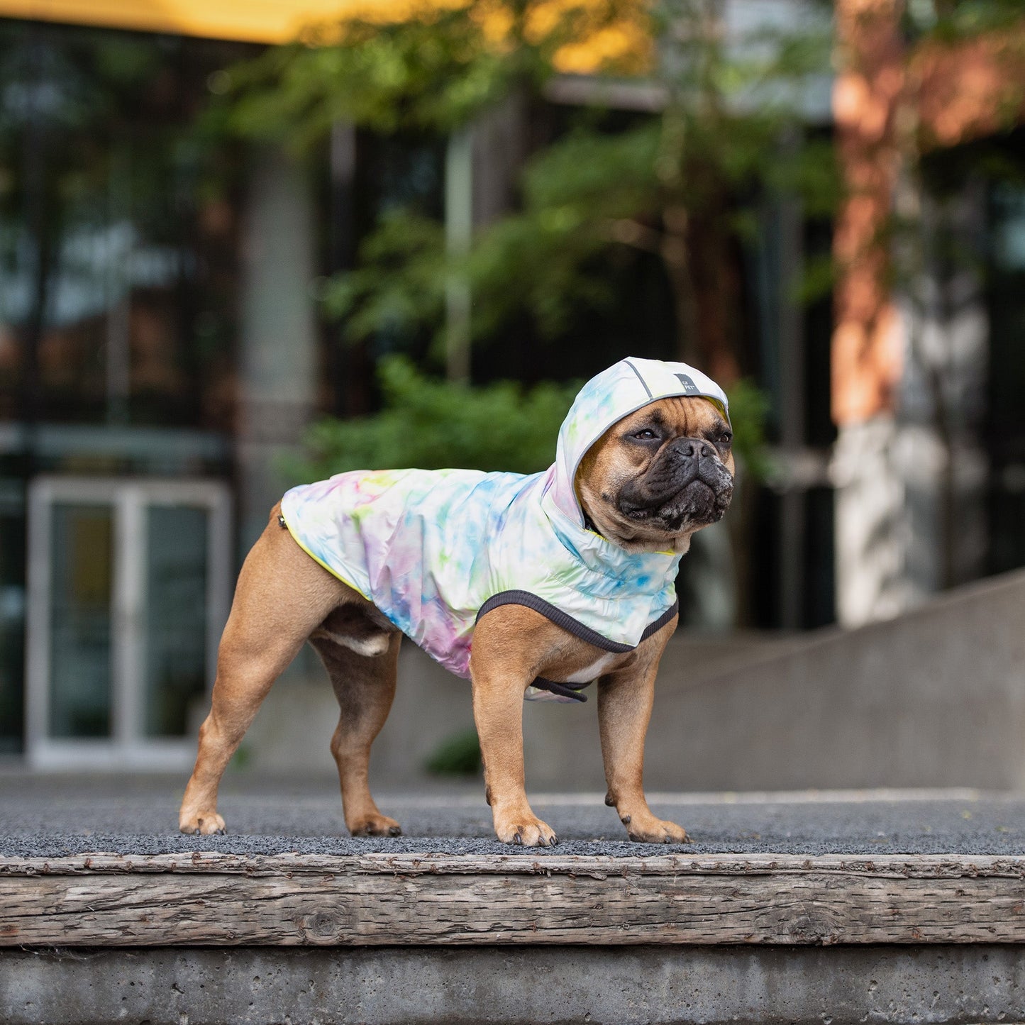 Dog Raincoat – Reversible Neon Aqua Iridescent