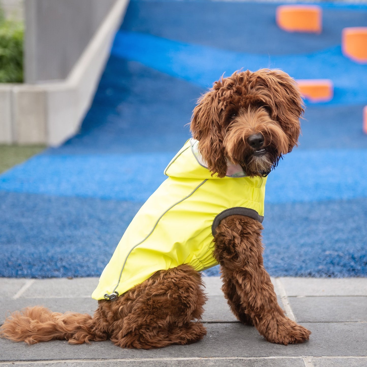 Dog Raincoat reversible side - Dual-design waterproof pet coat