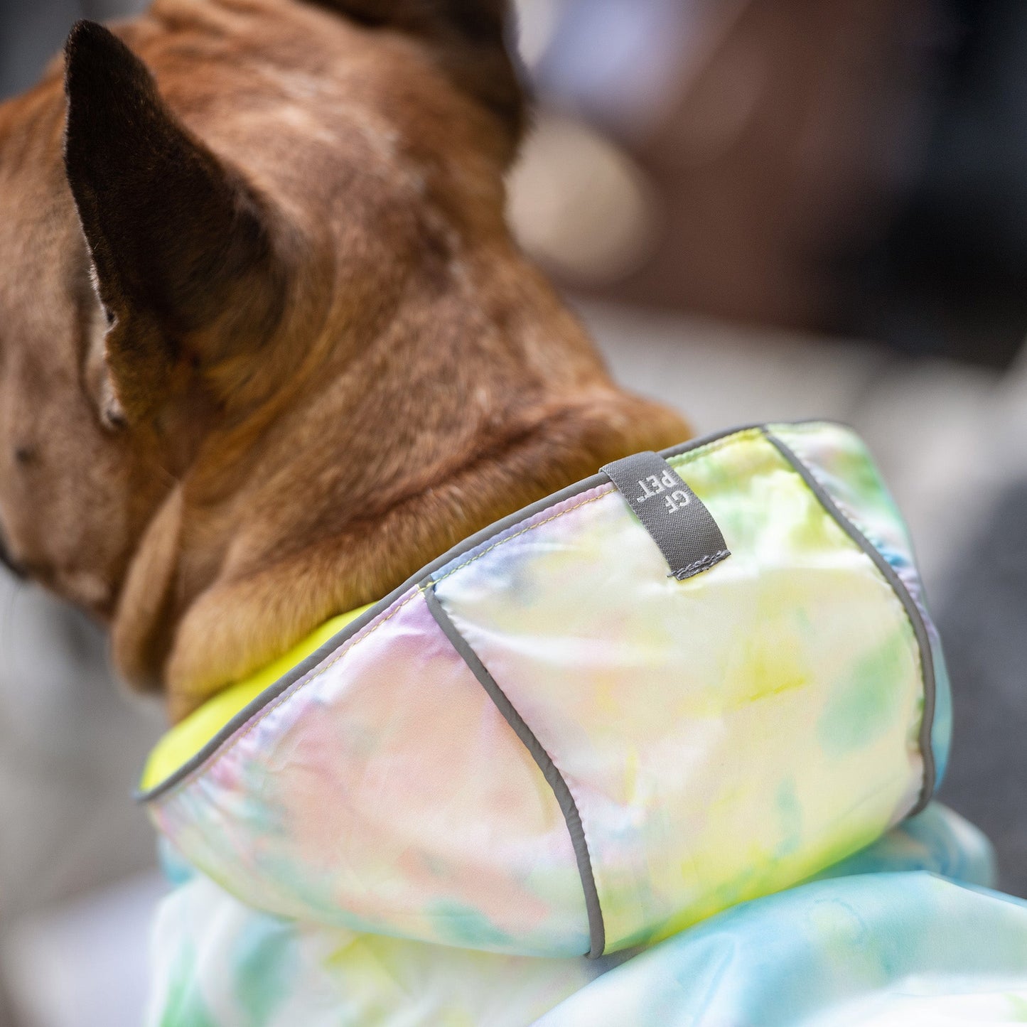 Dog Raincoat quality detail - Professional-grade waterproof pet rainwear