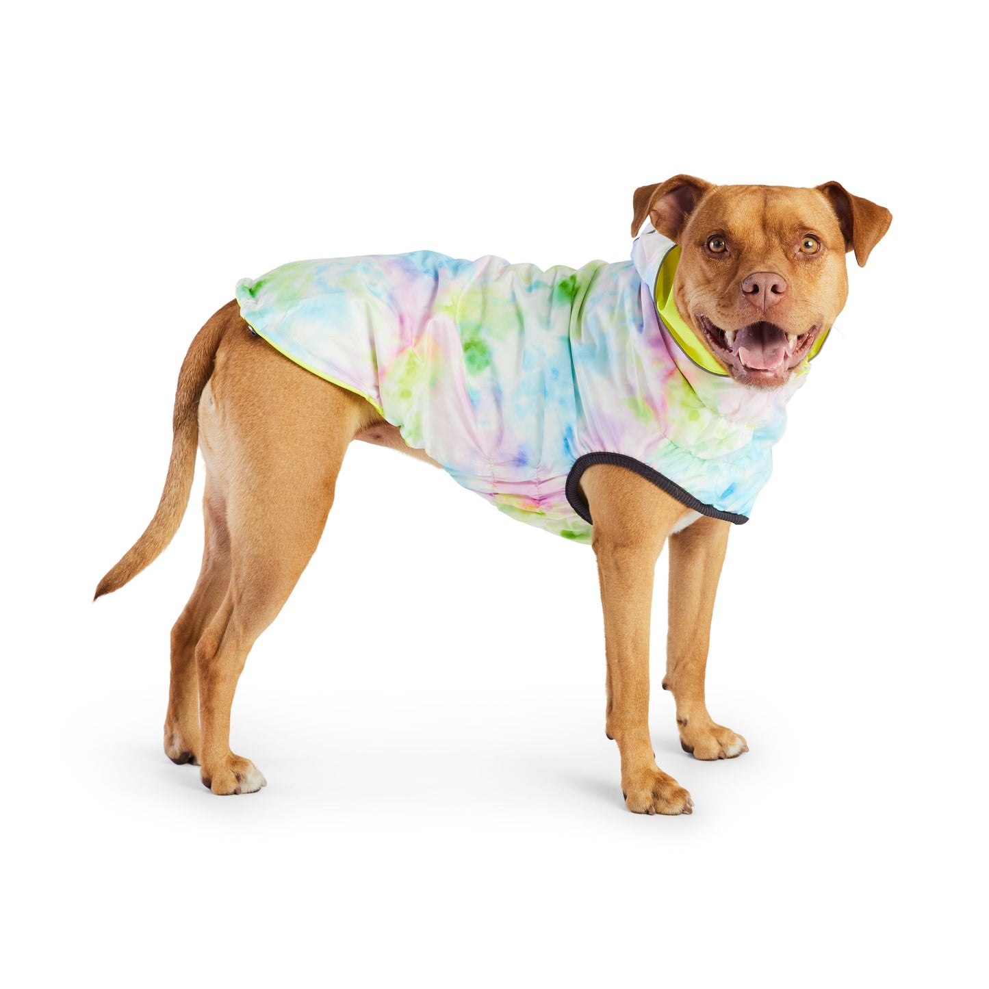 Dog Raincoat on dog - Waterproof pet rainwear for outdoor activities