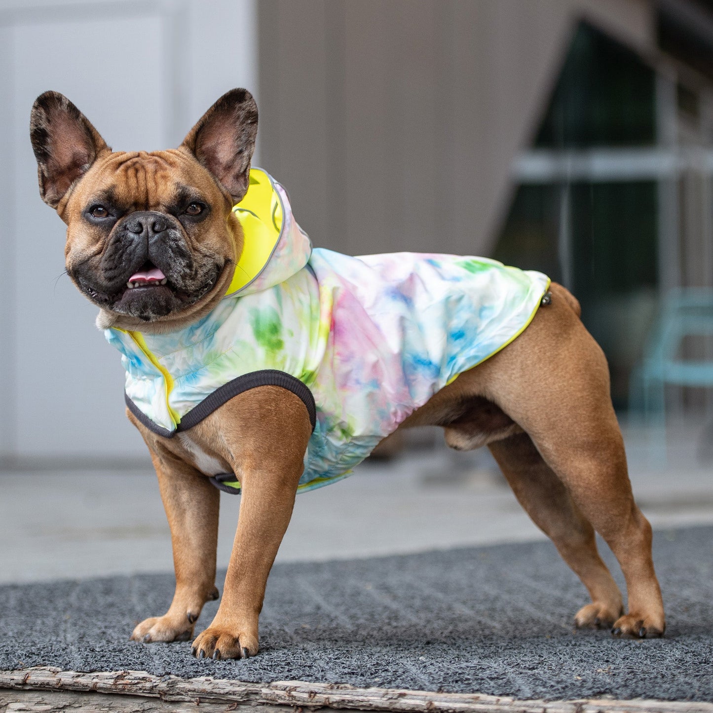 Dog Raincoat – Reversible Waterproof Hood