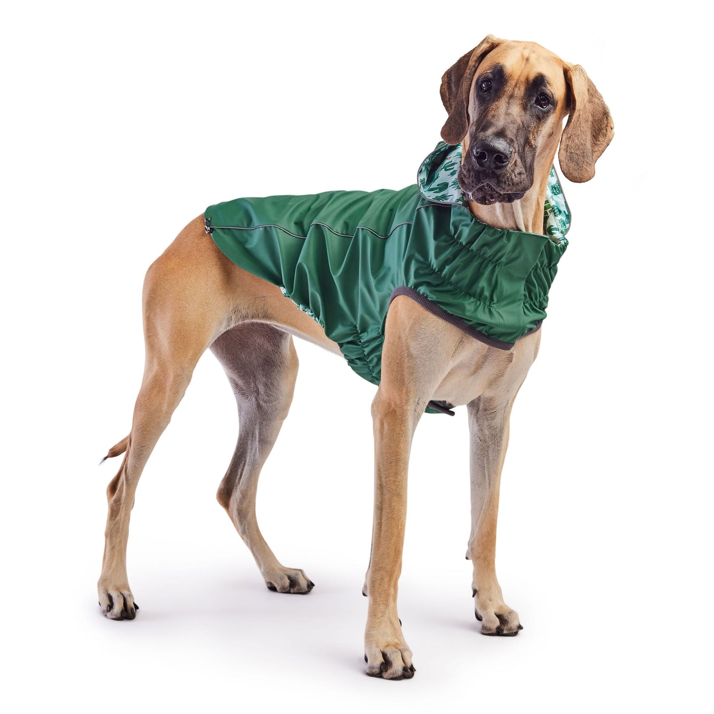 Dog Raincoat – Elasto-Fit Reversible Green