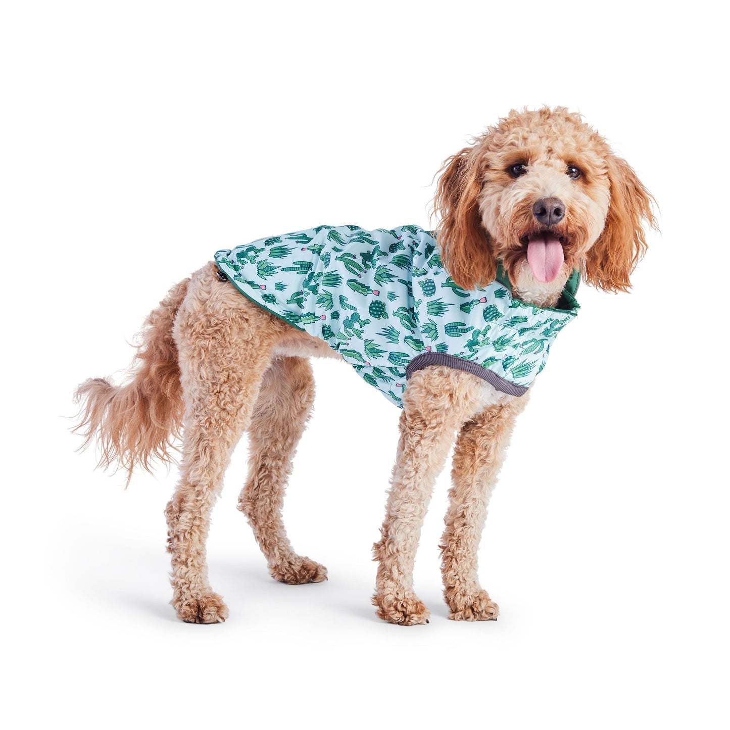 Dog Raincoat – Elasto-Fit Reversible Green