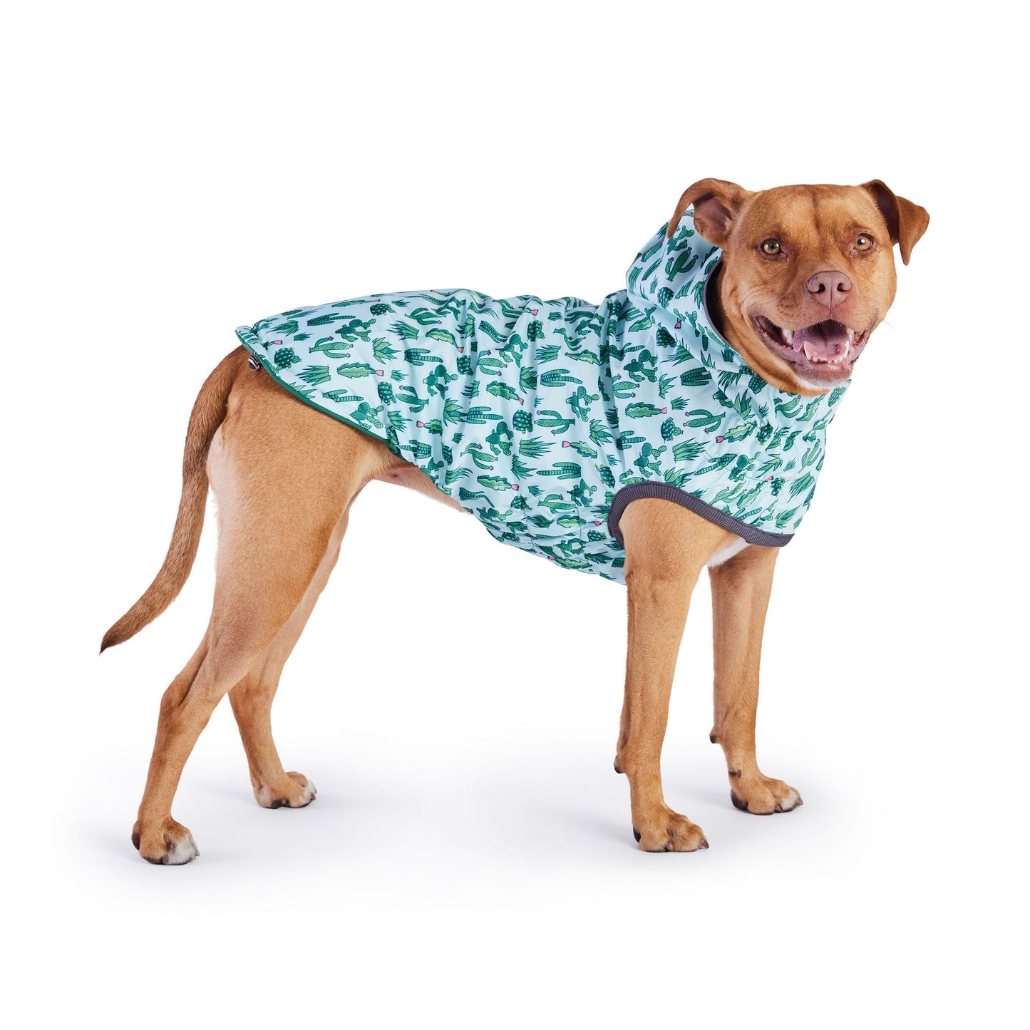 Dog Raincoat – Elasto-Fit Reversible Green