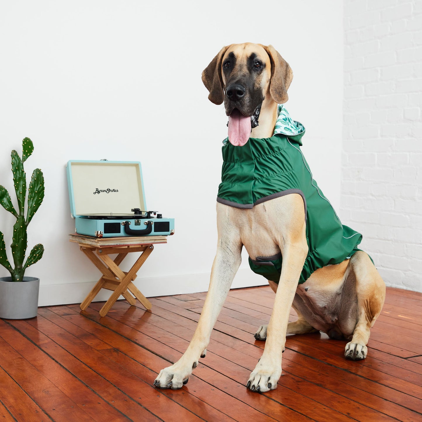 Dog Raincoat – Elasto-Fit Reversible Green