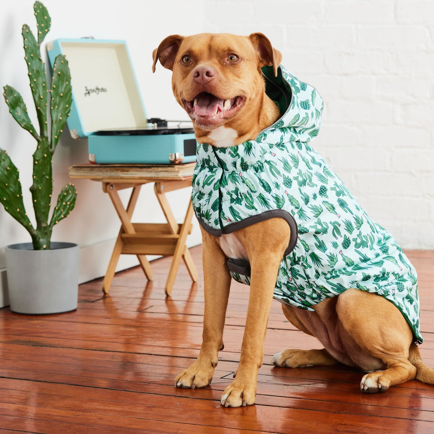 Dog Raincoat – Elasto-Fit Reversible Green