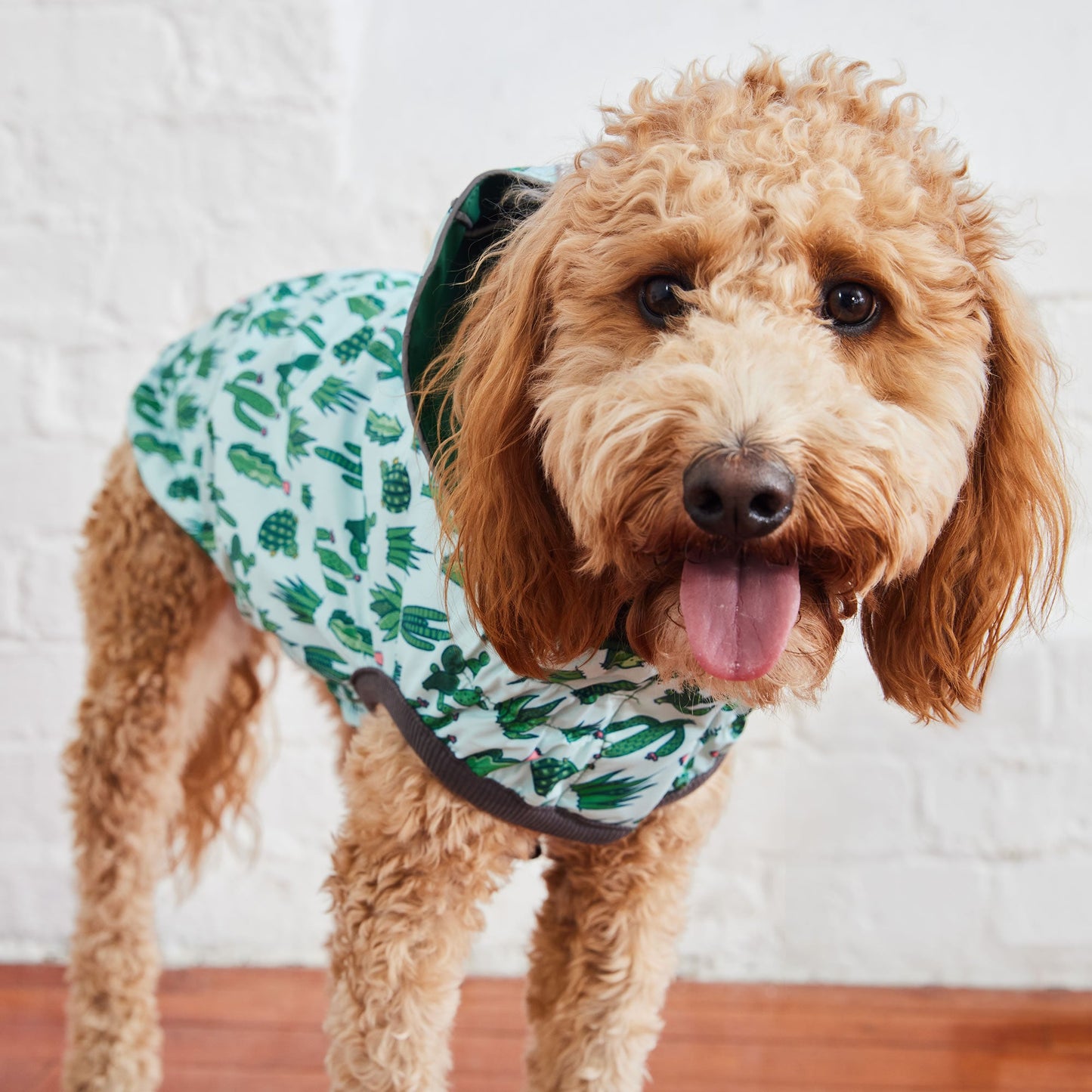 Dog Raincoat – Elasto-Fit Reversible Green