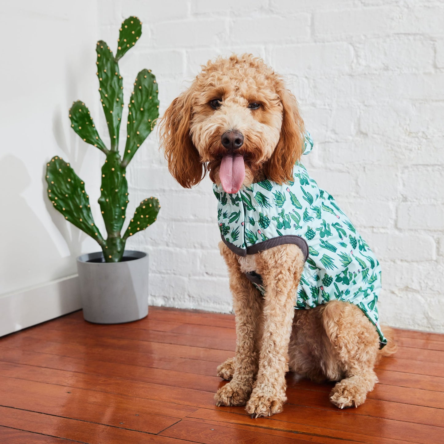 Dog Raincoat – Elasto-Fit Reversible Green