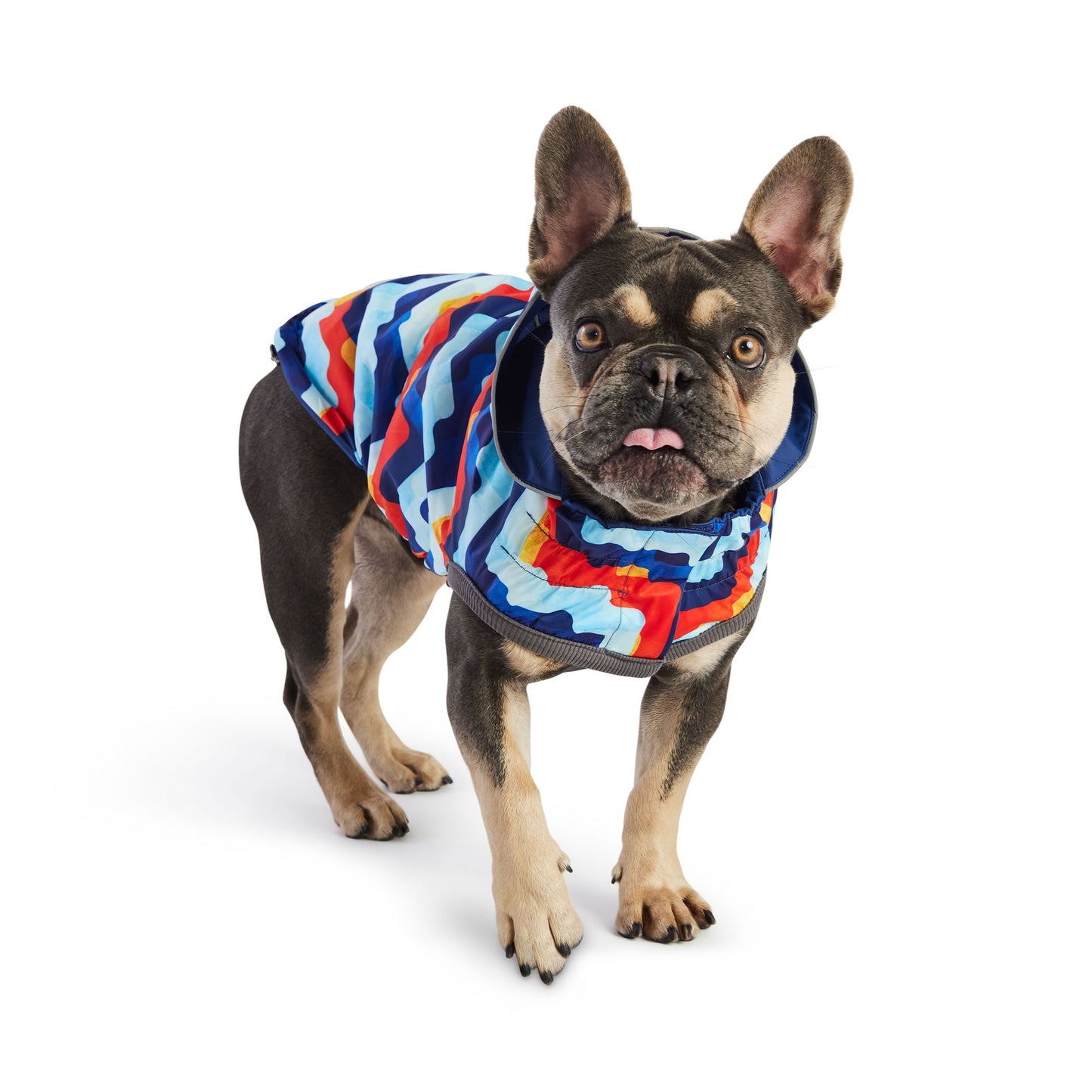 Dog Raincoat – Elasto-Fit Reversible Navy