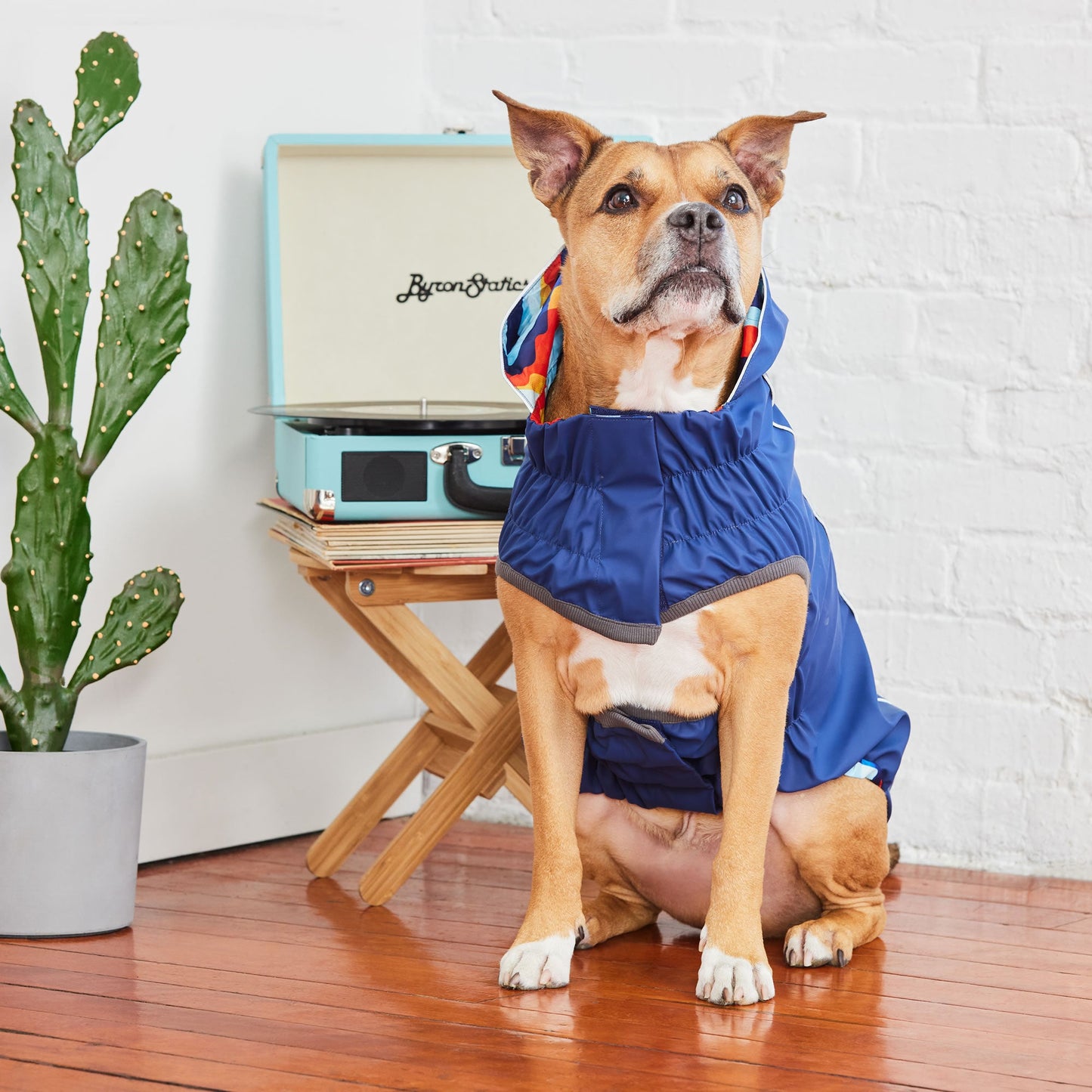 Dog Raincoat – Elasto-Fit Reversible Navy