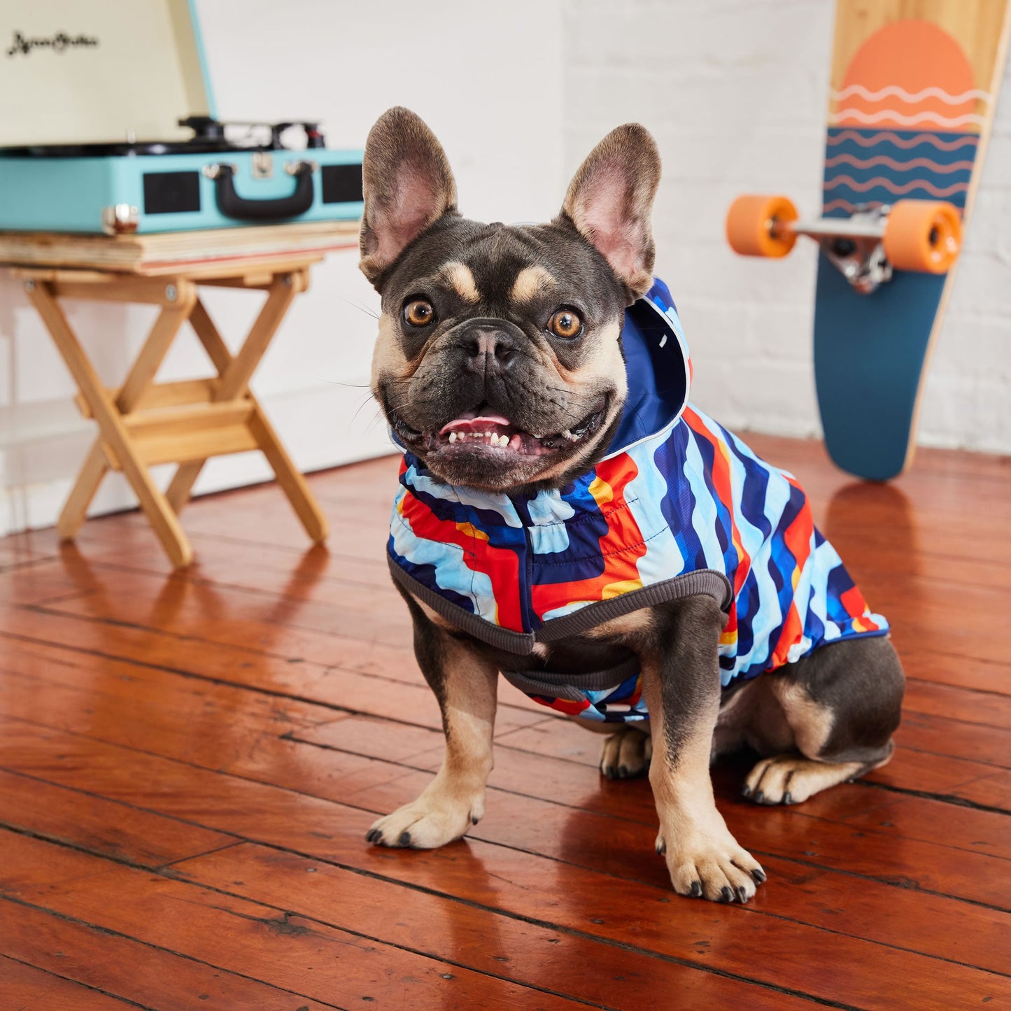 Dog Raincoat – Elasto-Fit Reversible Navy