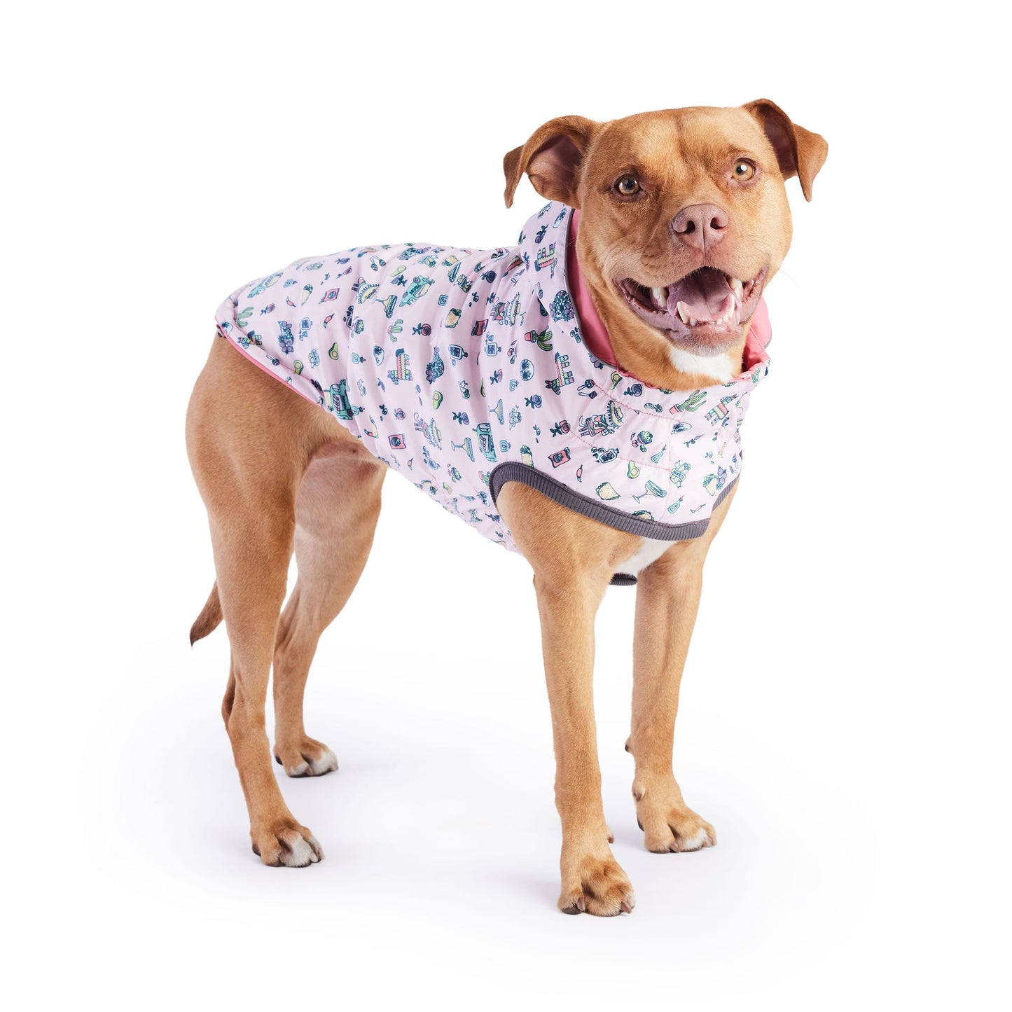 Dog Raincoat – Elasto-Fit Reversible Pink