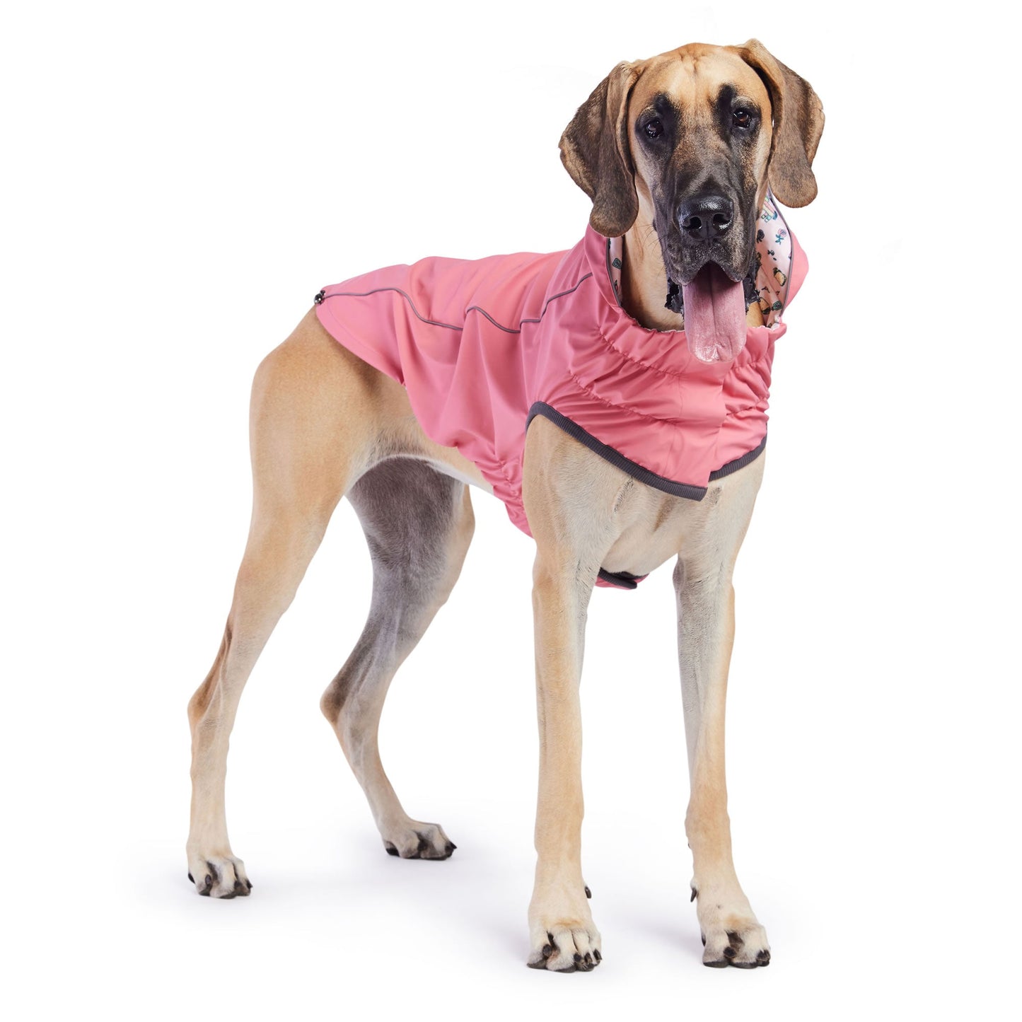 Dog Raincoat – Elasto-Fit Reversible Pink
