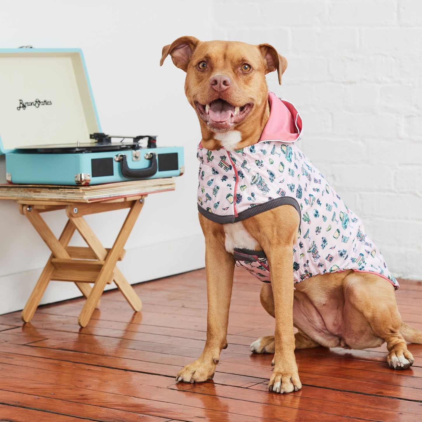 Dog Raincoat – Elasto-Fit Reversible Pink