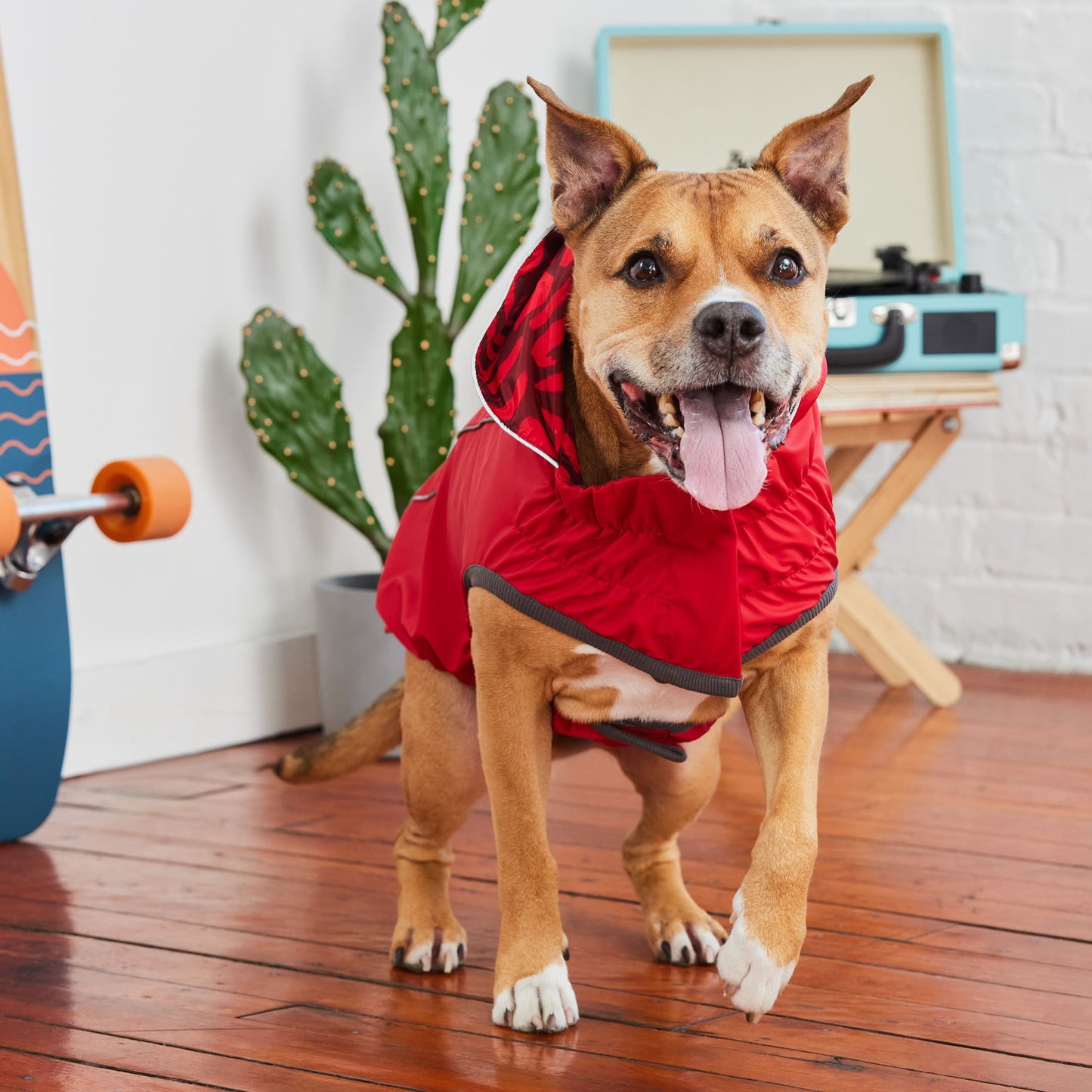 Elasto-Fit Reversible Dog Raincoat – Waterproof, Red/Red