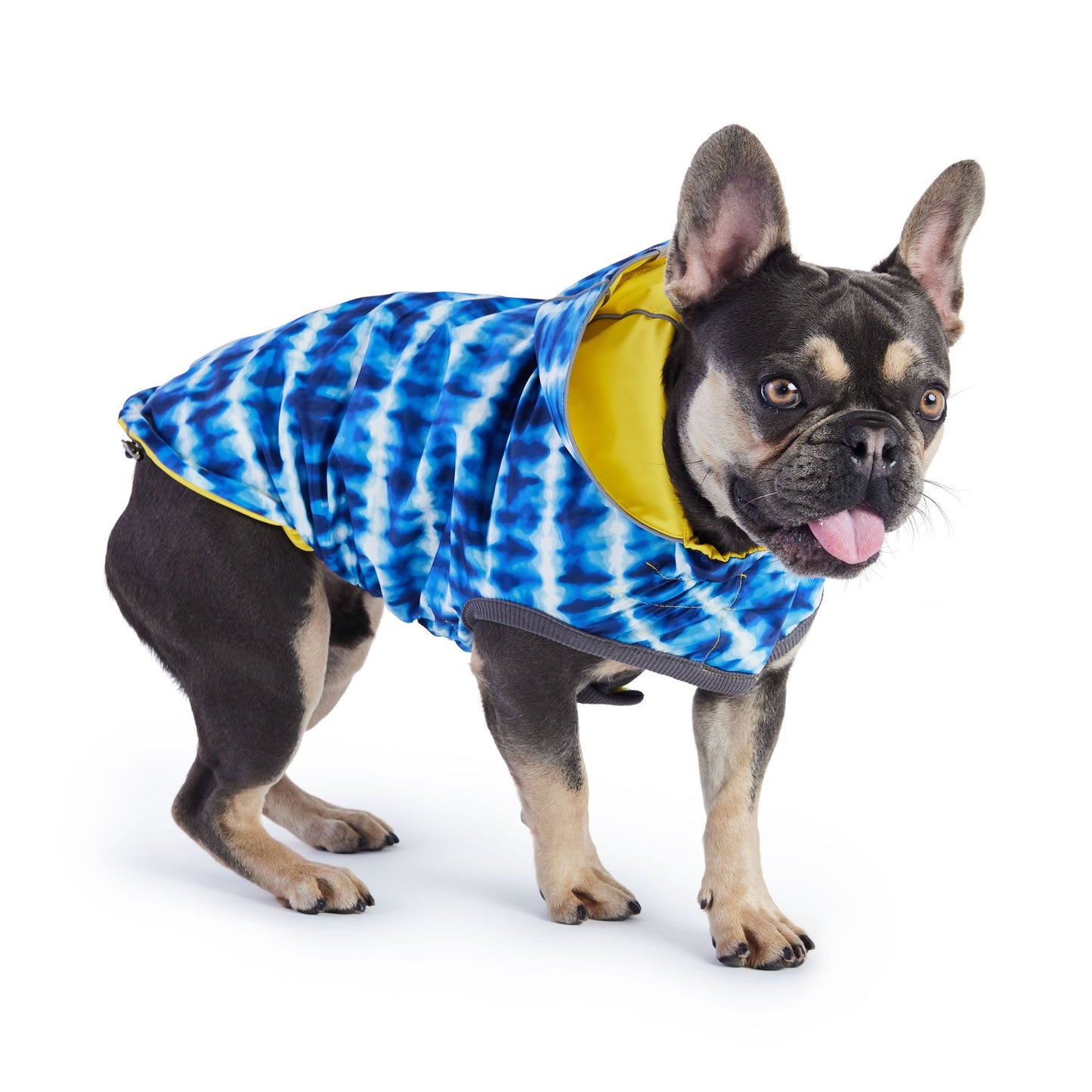 Dog Raincoat – Elasto-Fit Reversible Yellow Blue
