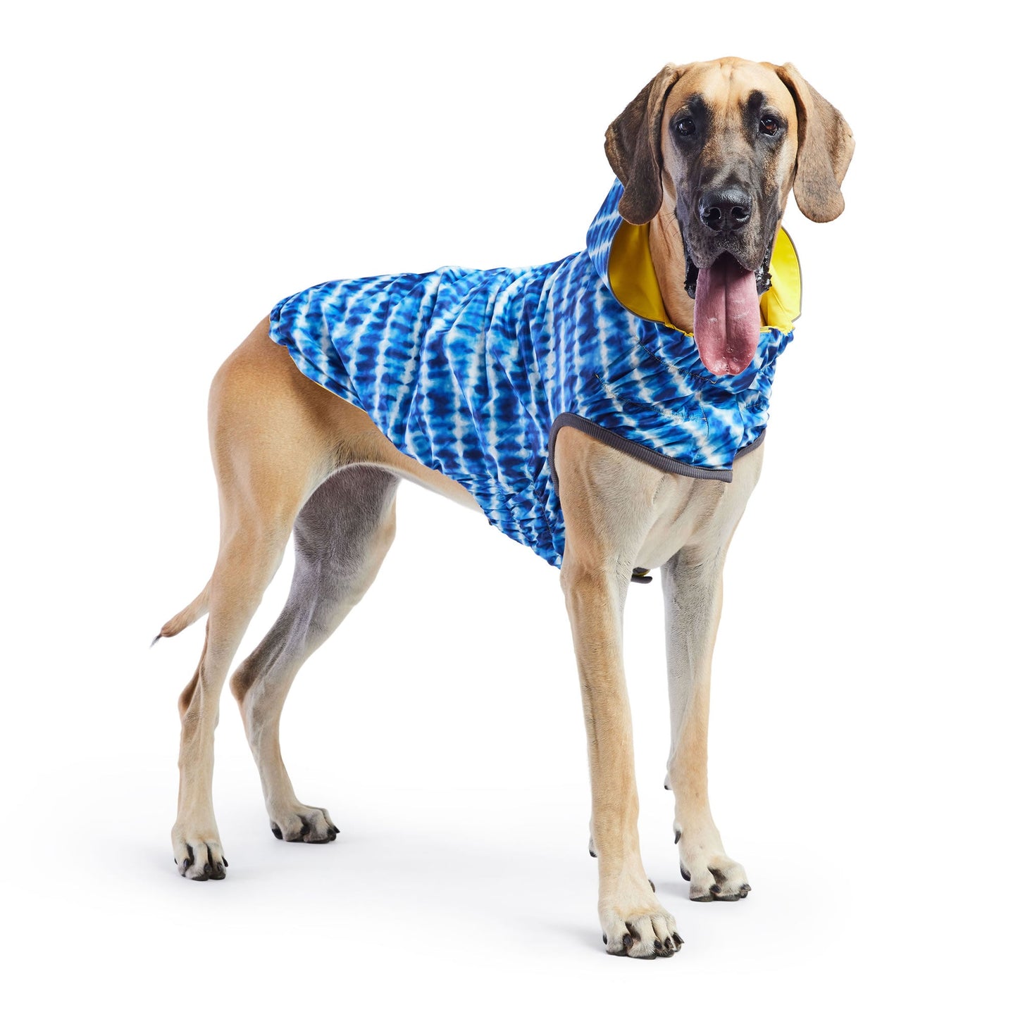 Dog Raincoat – Elasto-Fit Reversible Yellow Blue