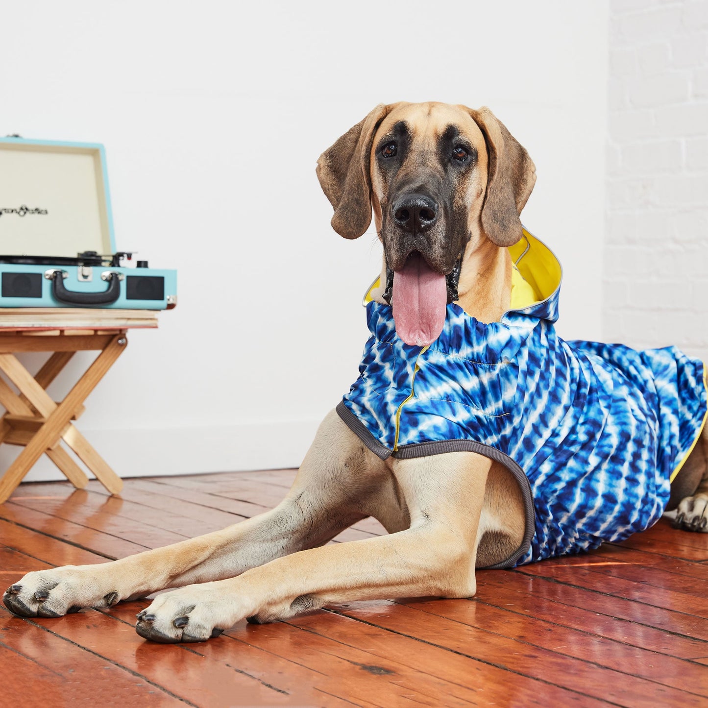 Dog Raincoat – Elasto-Fit Reversible Yellow Blue