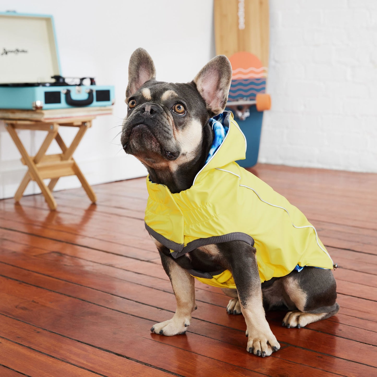 Dog Raincoat – Elasto-Fit Reversible Yellow Blue