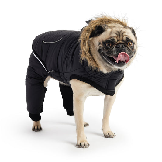Dog Snowsuit – Creekside 2-Piece Waterproof