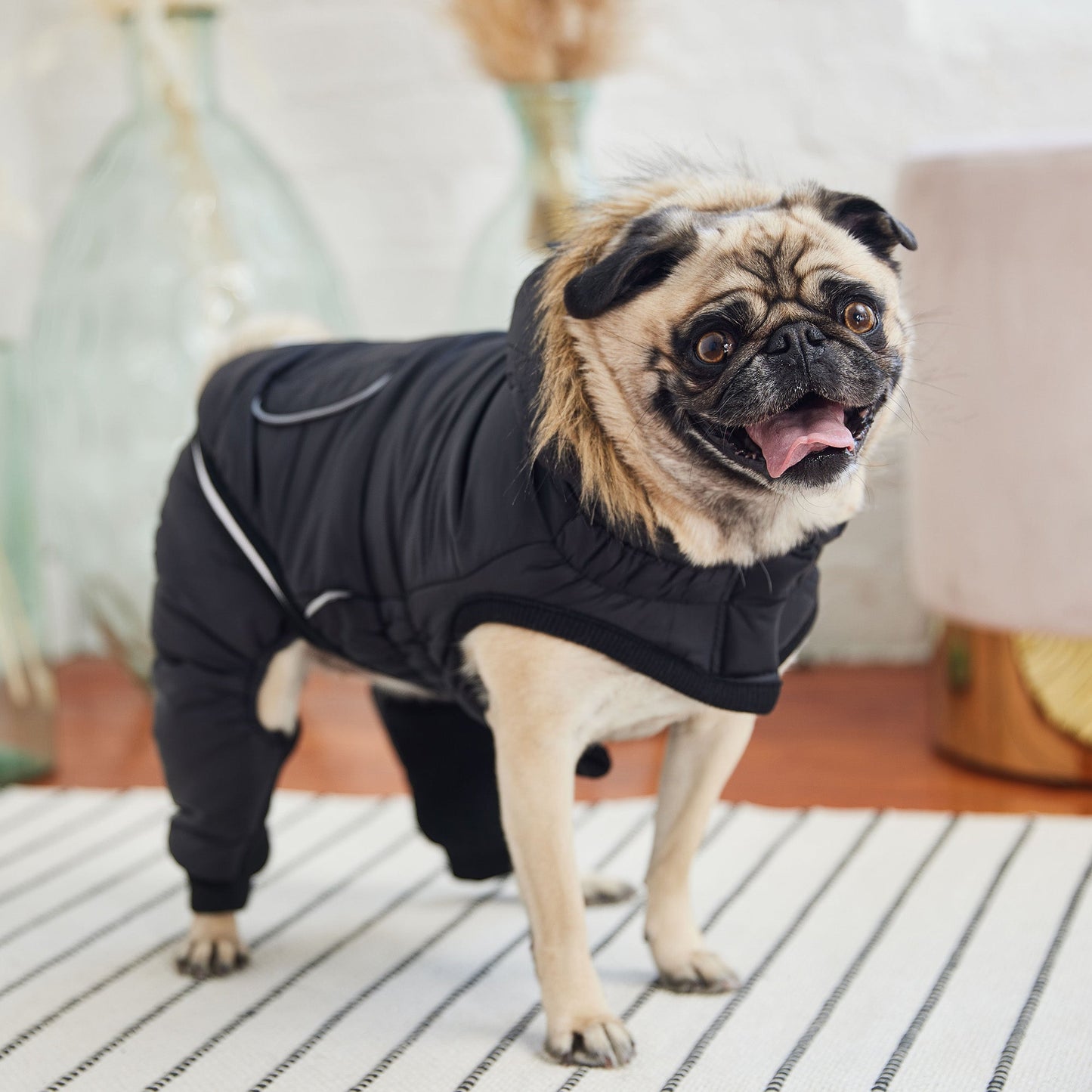 Dog Snowsuit – Creekside 2-Piece Waterproof