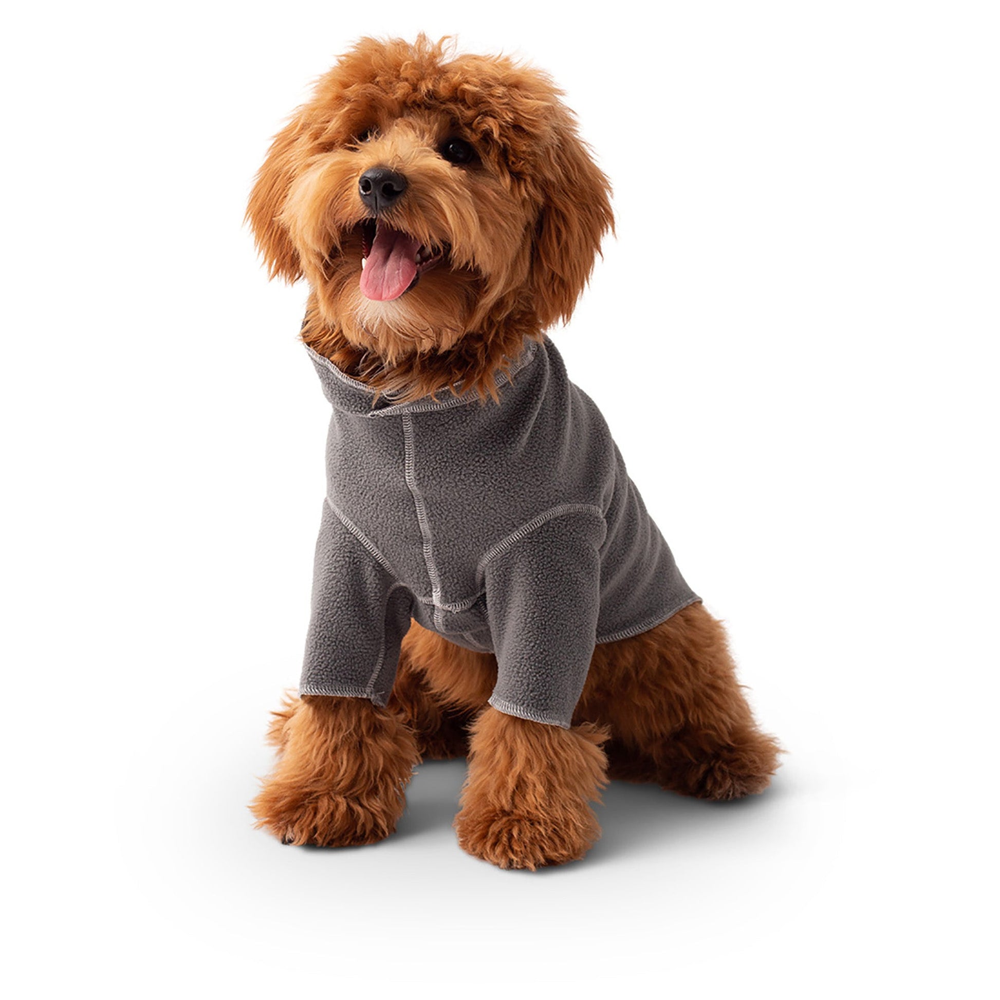Dog wearing charcoal gray GF Pet Gondola micro polar fleece base layer front view on white background