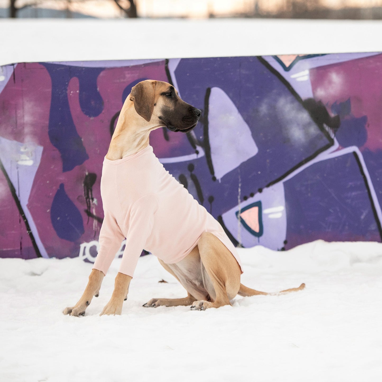 Gondola Dog Base Layer – Pink | 4-Way Stretch Undershirt