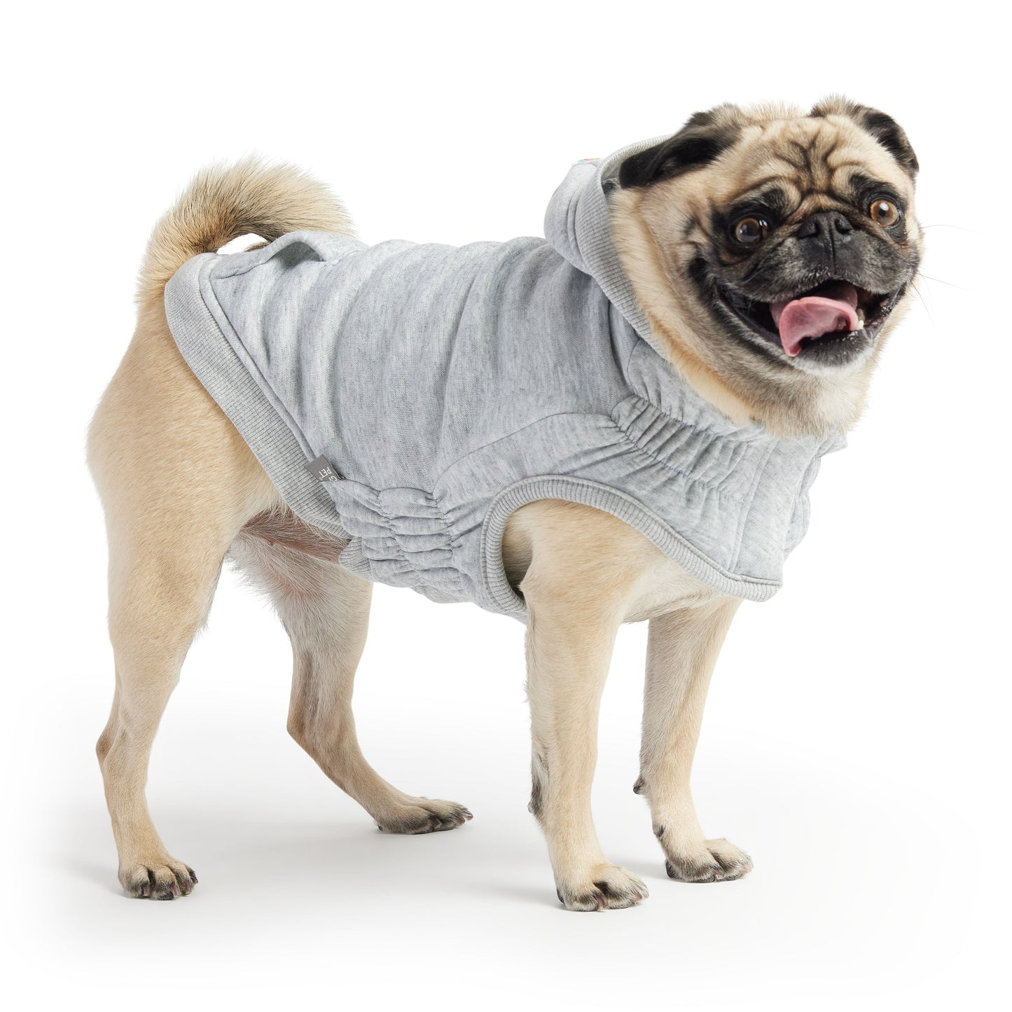 Dog Raincoat – Reversible Waterproof Green