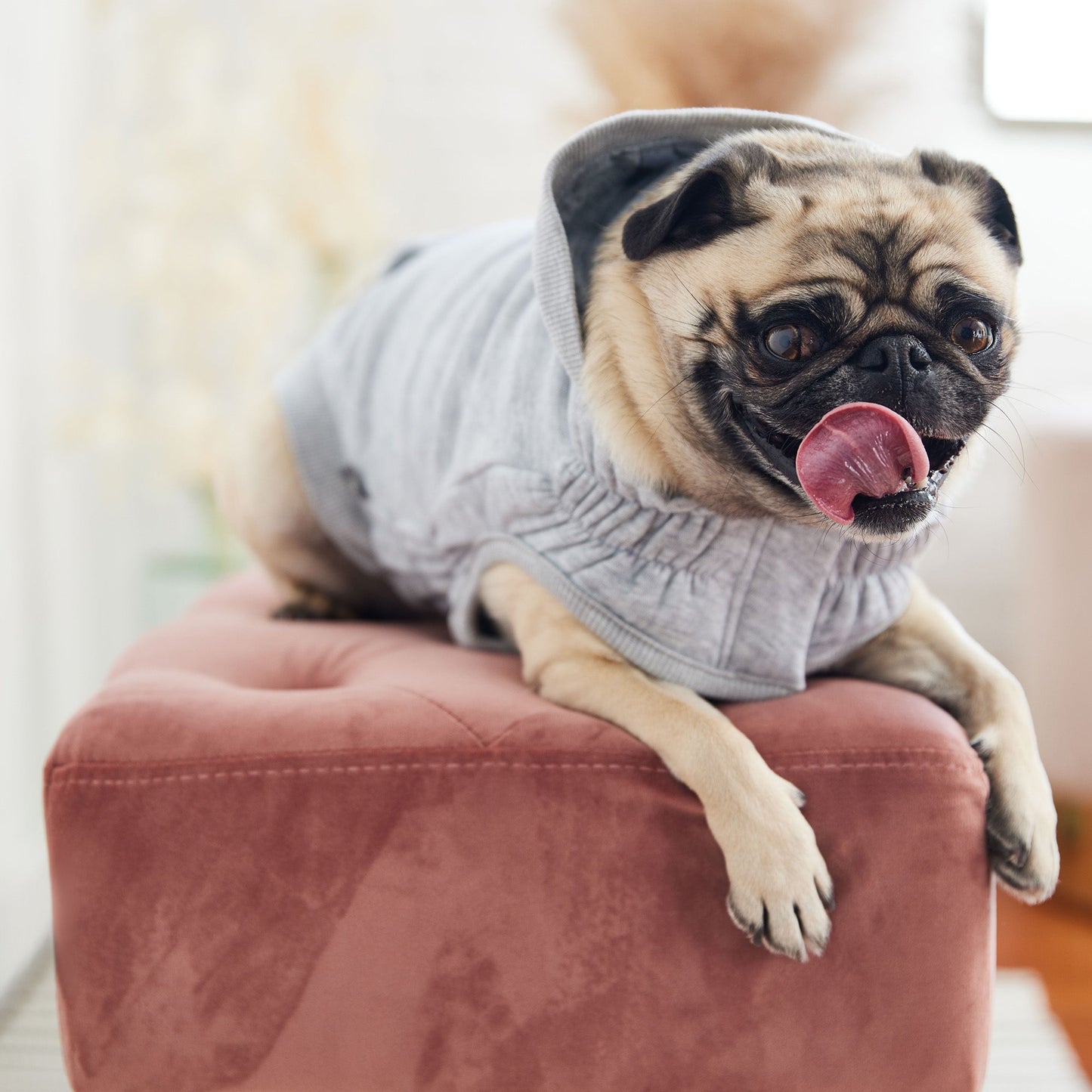 Dog Raincoat – Reversible Waterproof Green