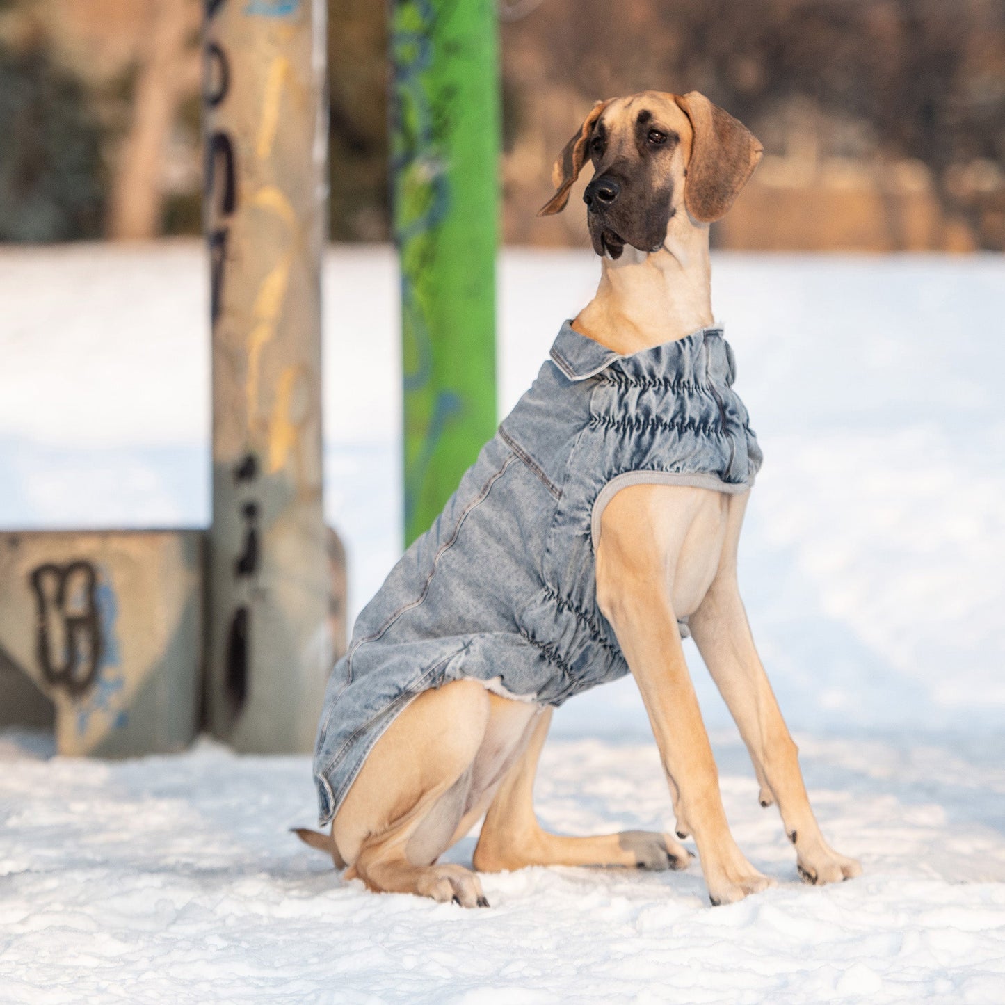 Dog Jacket – Elasto-Fit Denim Light Wash