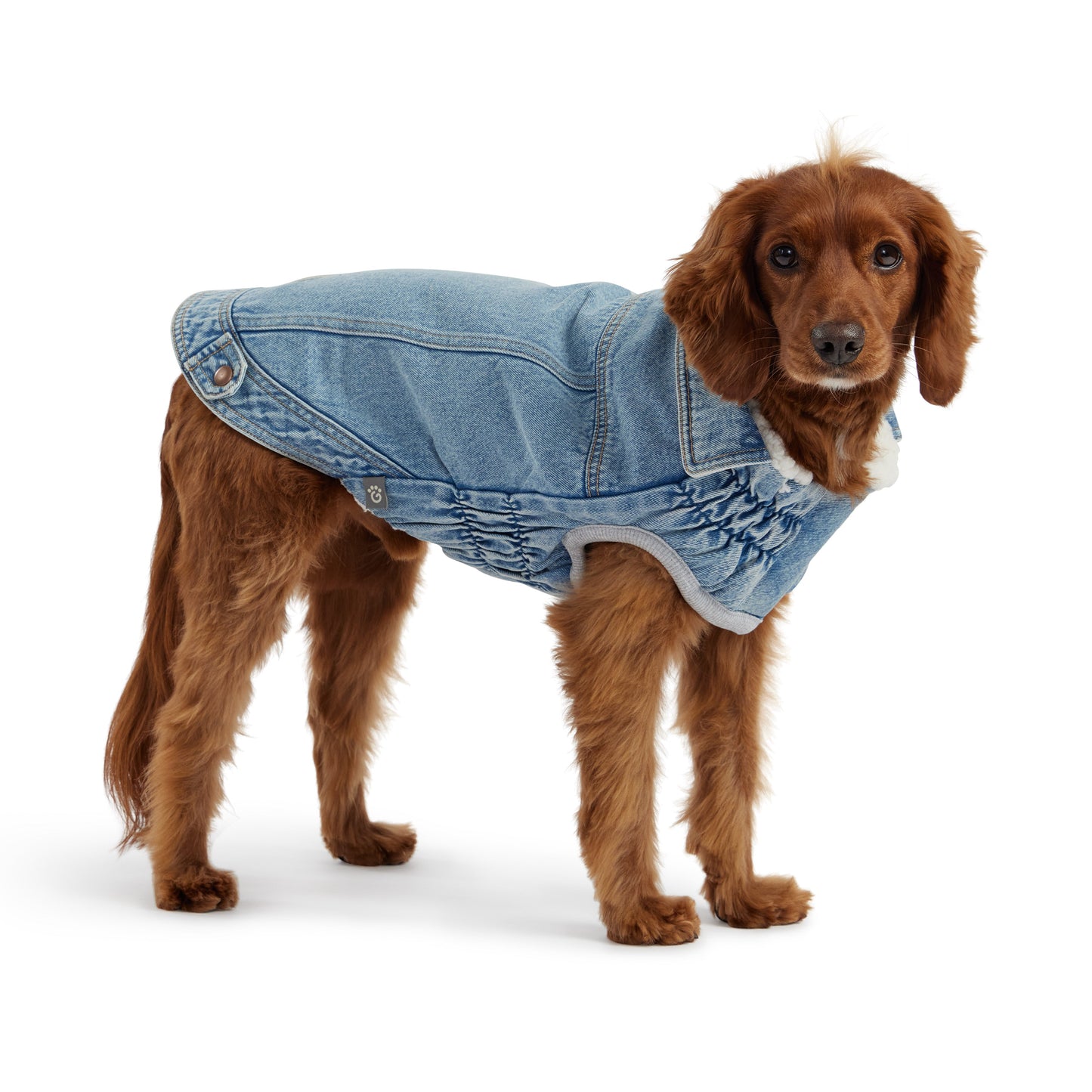 Dog Jacket – Elasto-Fit Denim Light Wash