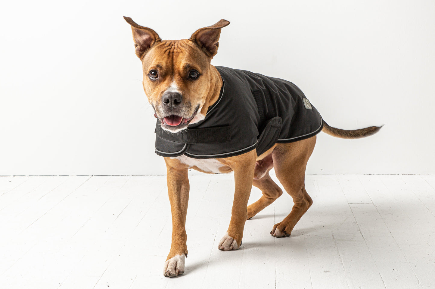 Dog Jacket – Blanket Waterproof Polar Fleece Black