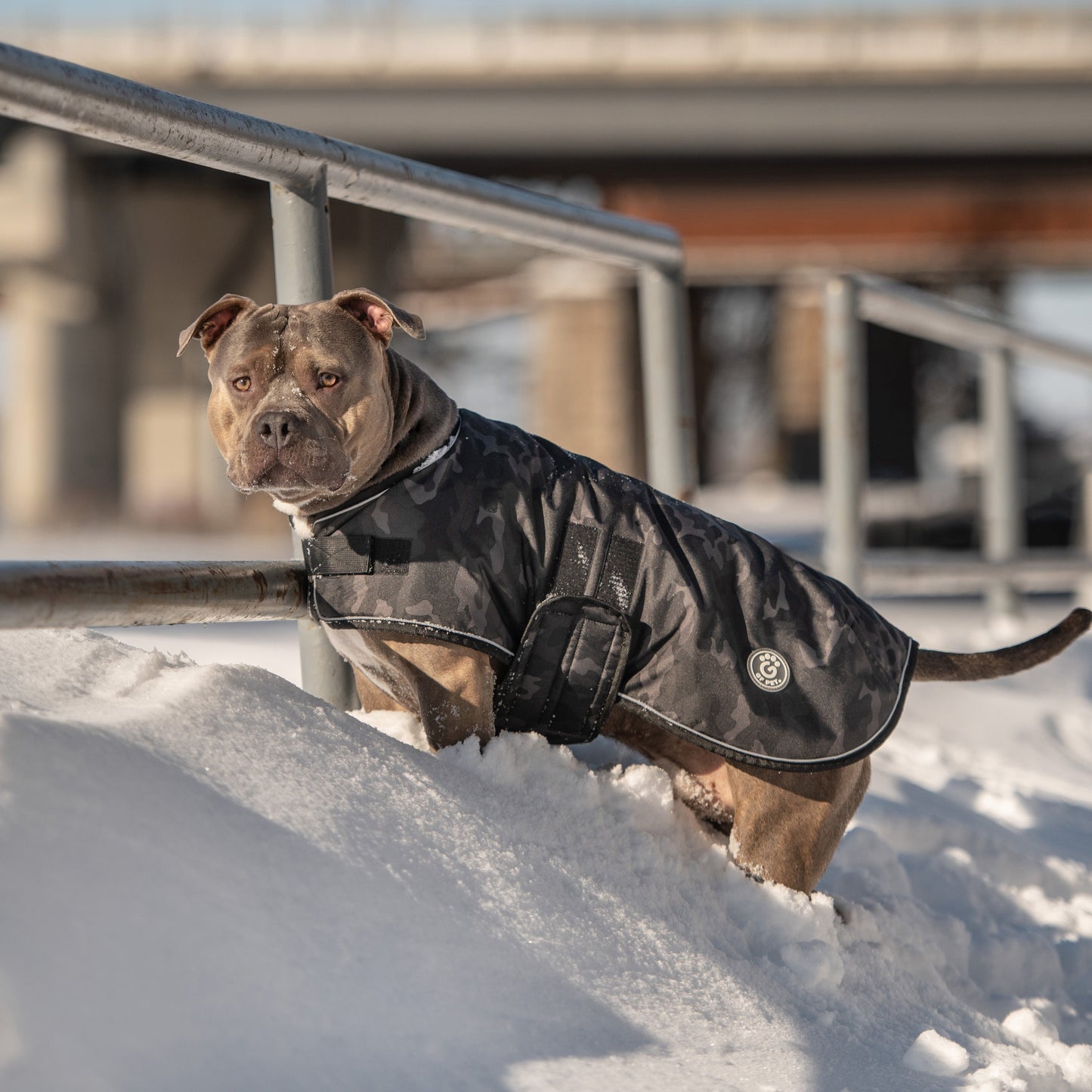 Blanket Dog Jacket – Camo | Waterproof Polar Fleece