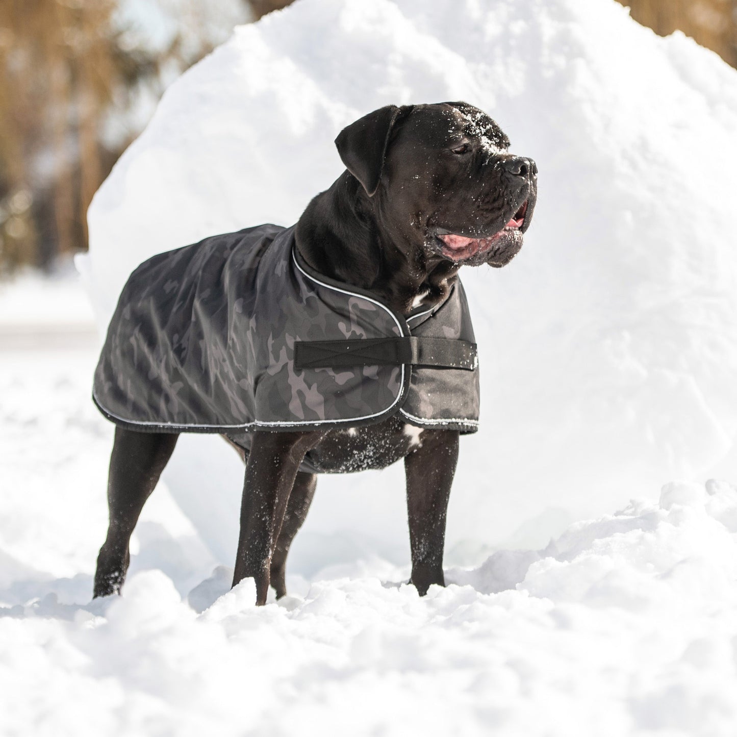 Blanket Dog Jacket – Camo | Waterproof Polar Fleece