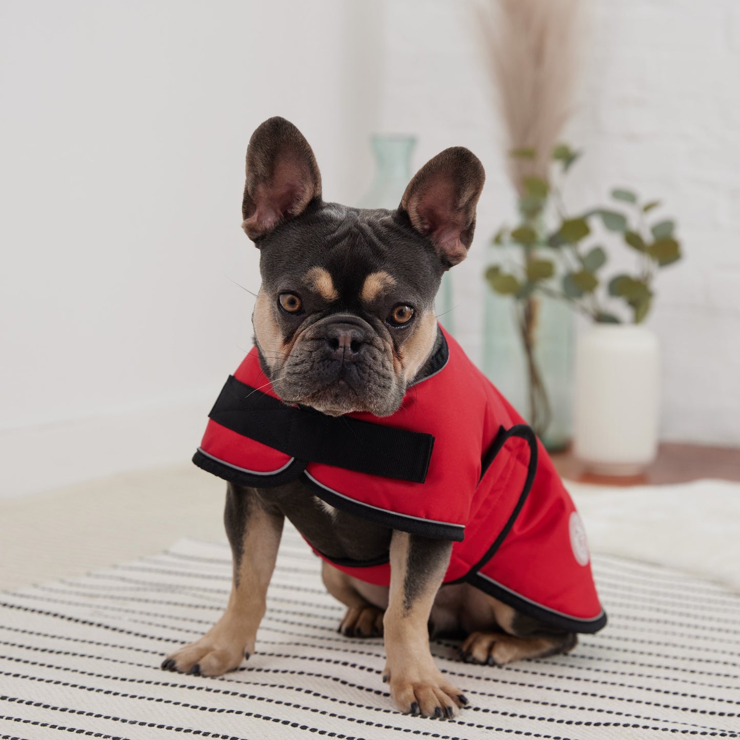 Blanket Dog Jacket – Red | Waterproof Polar Fleece