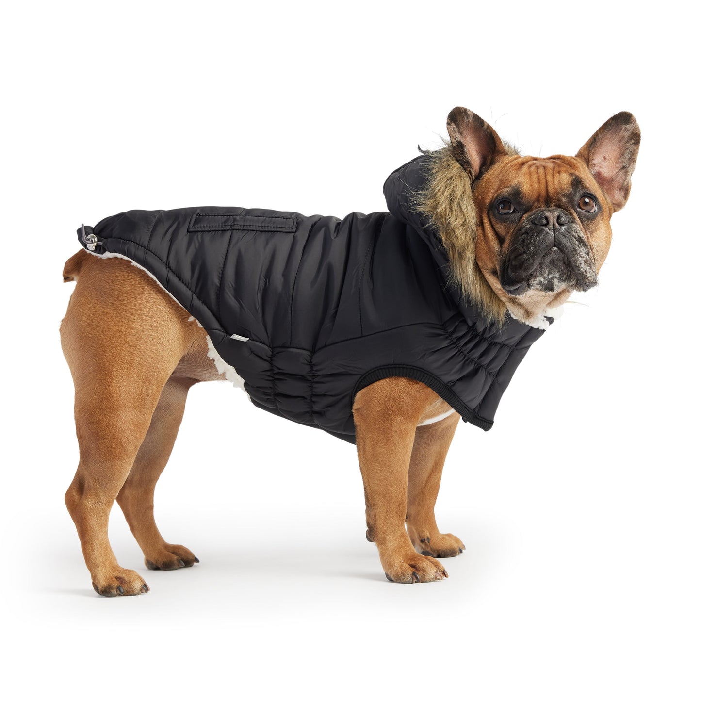 Dog Coat – Urban Parka Sherpa Faux Fur Black