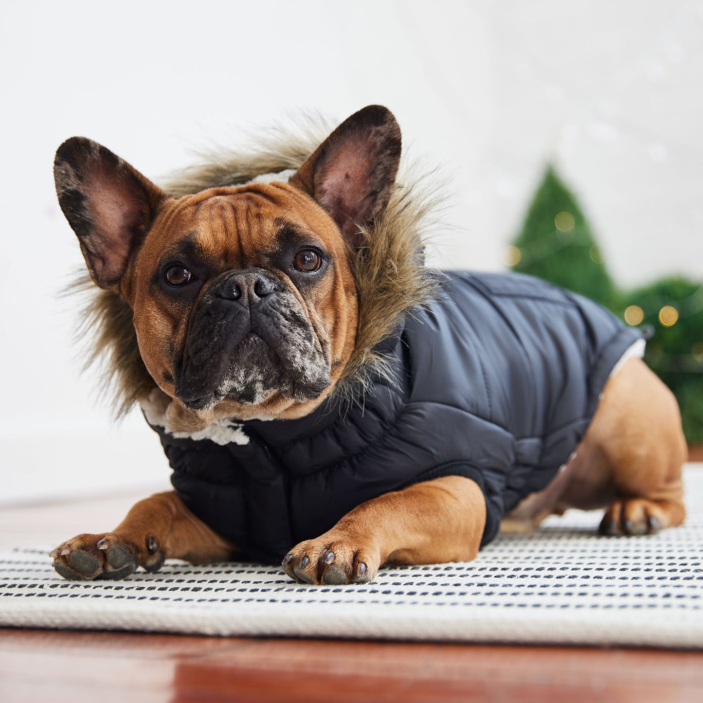 Dog Coat – Urban Parka Sherpa Faux Fur Black
