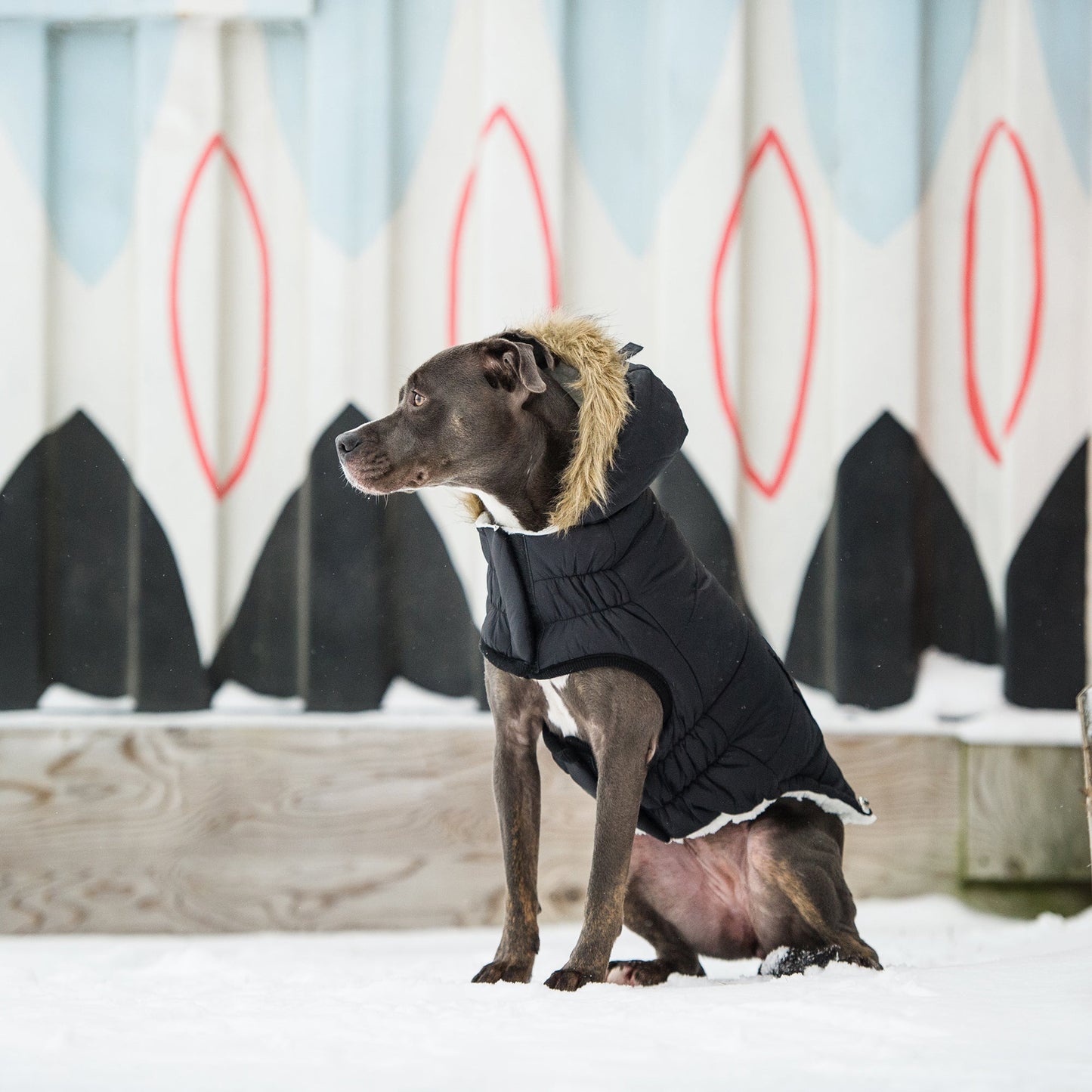 Dog Coat – Urban Parka Sherpa Faux Fur Black