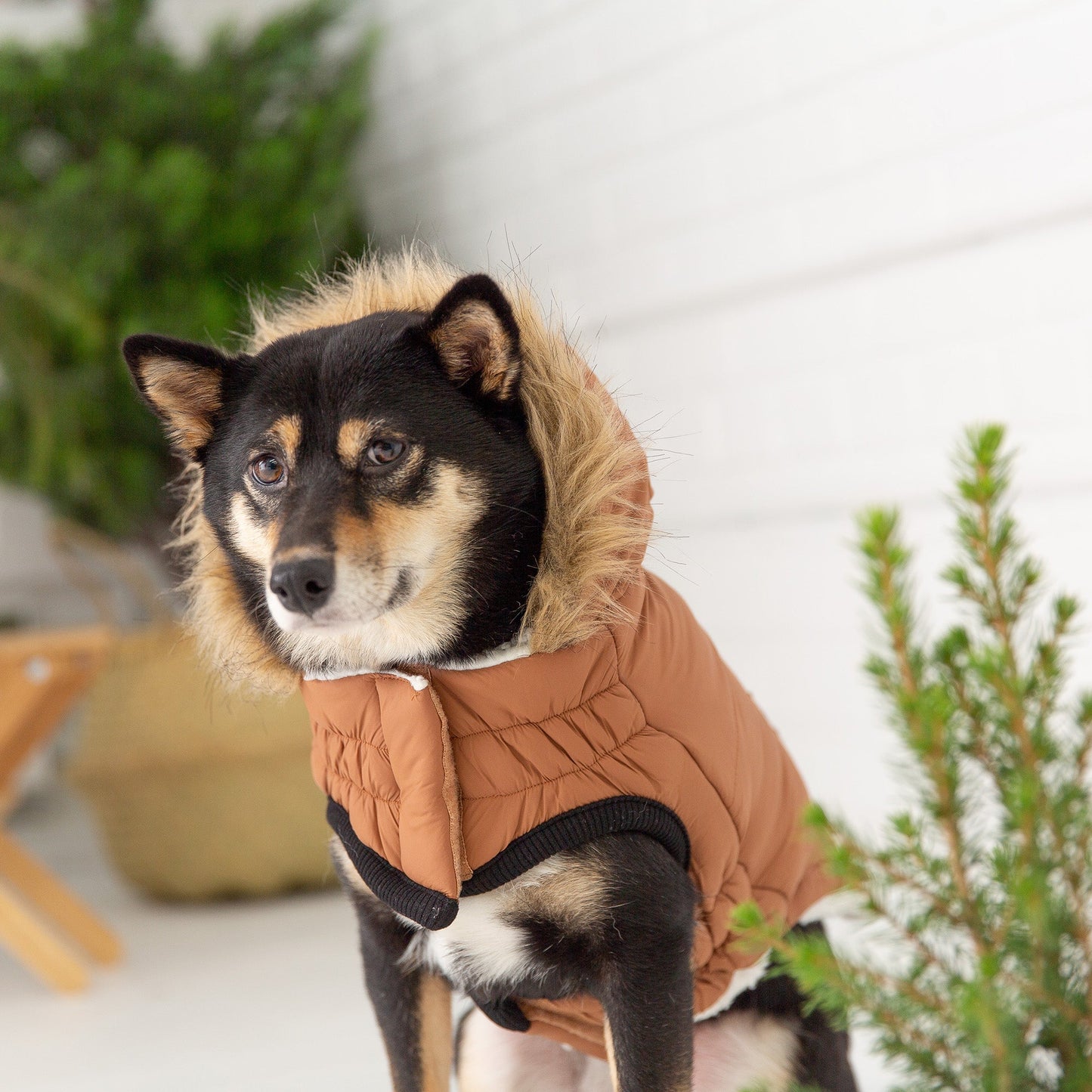 Dog Coat – Urban Parka Sherpa Caramel