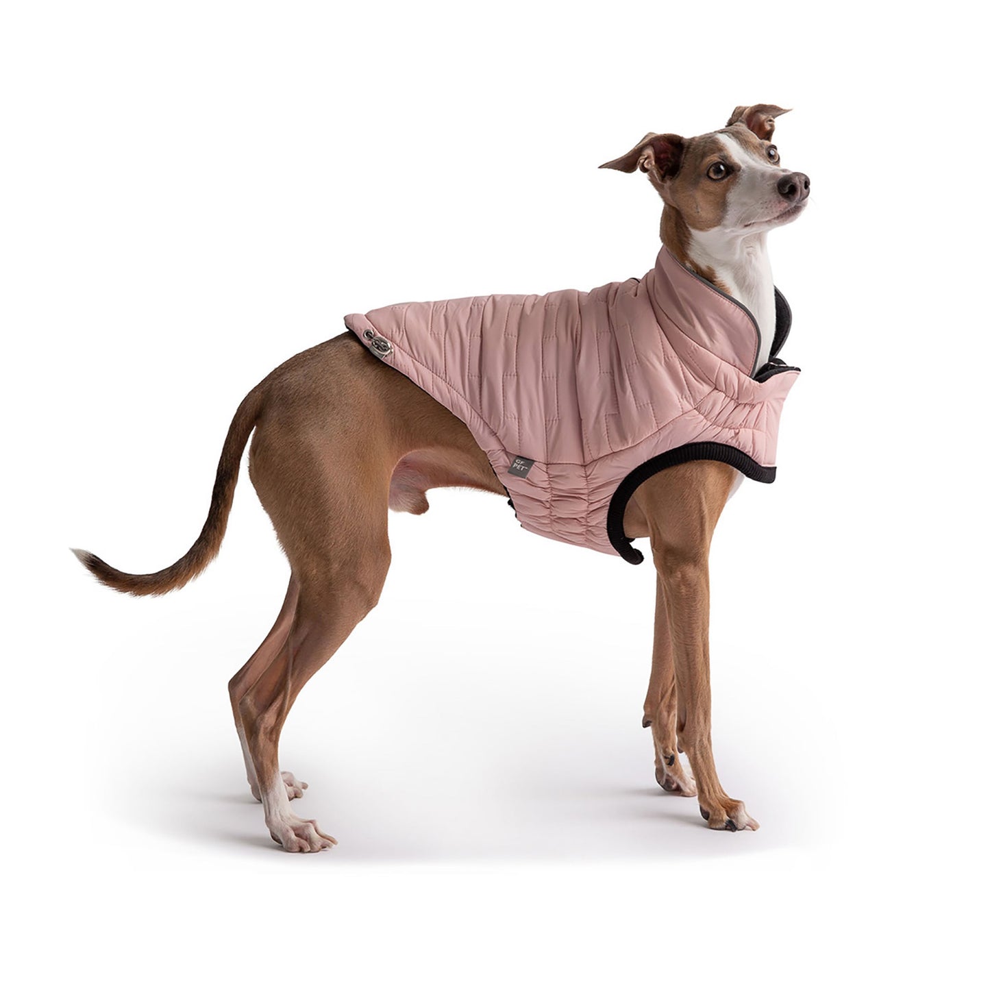 Dog Hoodie – Urban Kangaroo Pocket Fleece