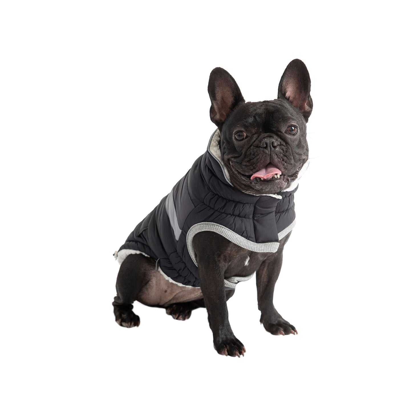 Dog Jacket – Alpine Puffer Retro Chevron Black