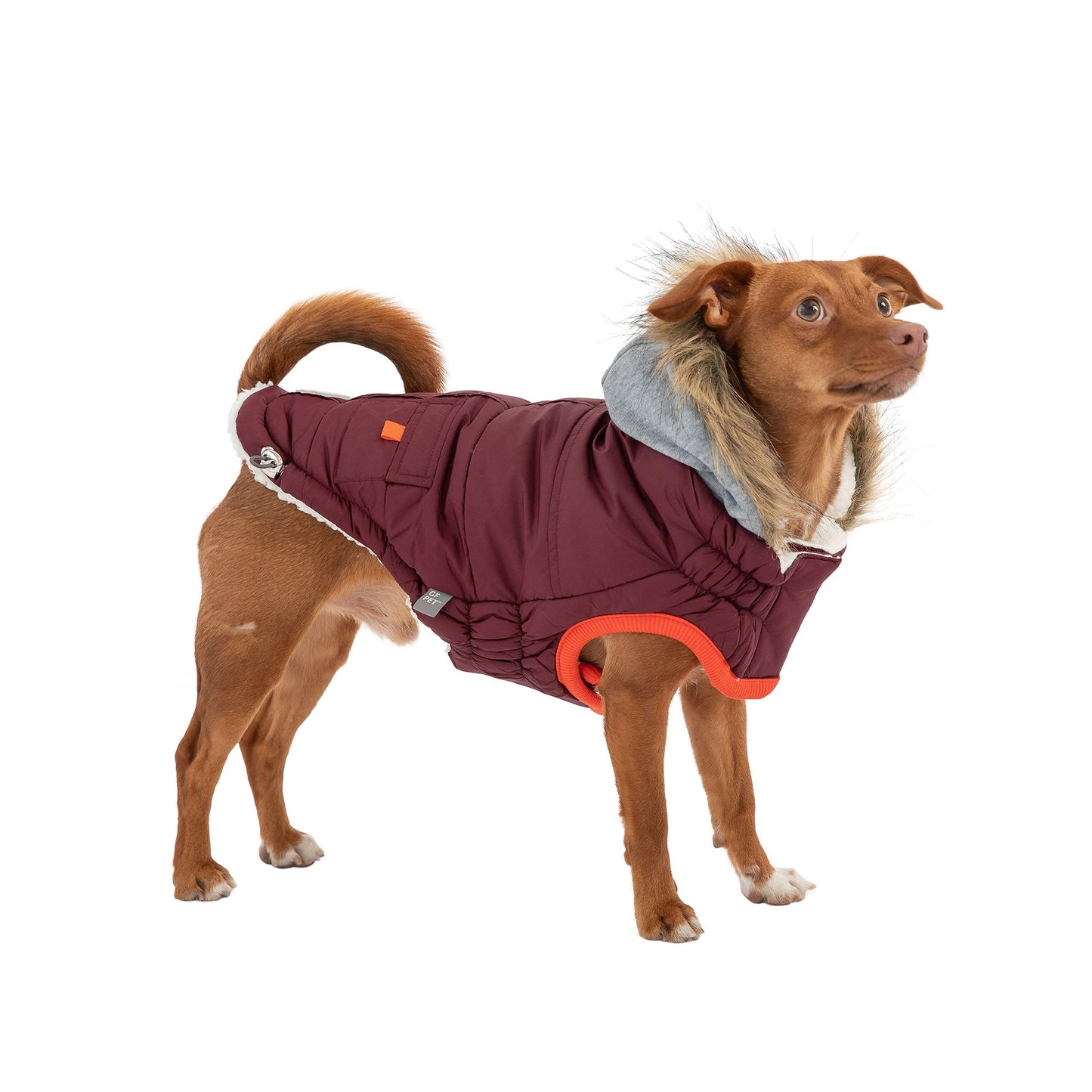 Dog Jacket – Winter Sailor Burgundy Vegan Fur