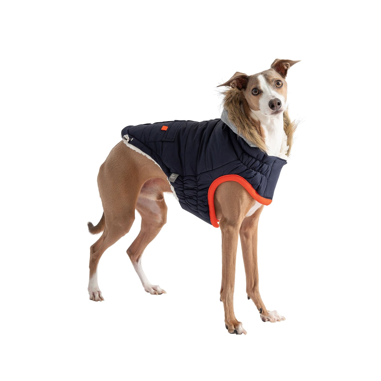 Dog Parka – Winter Sailor Sherpa Navy
