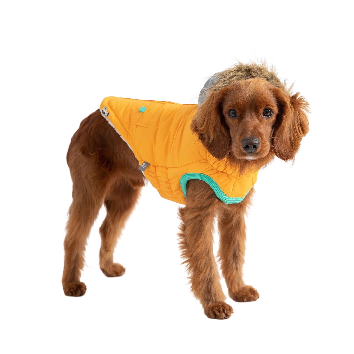 Dog Parka – Winter Sailor Vegan Fur Hood