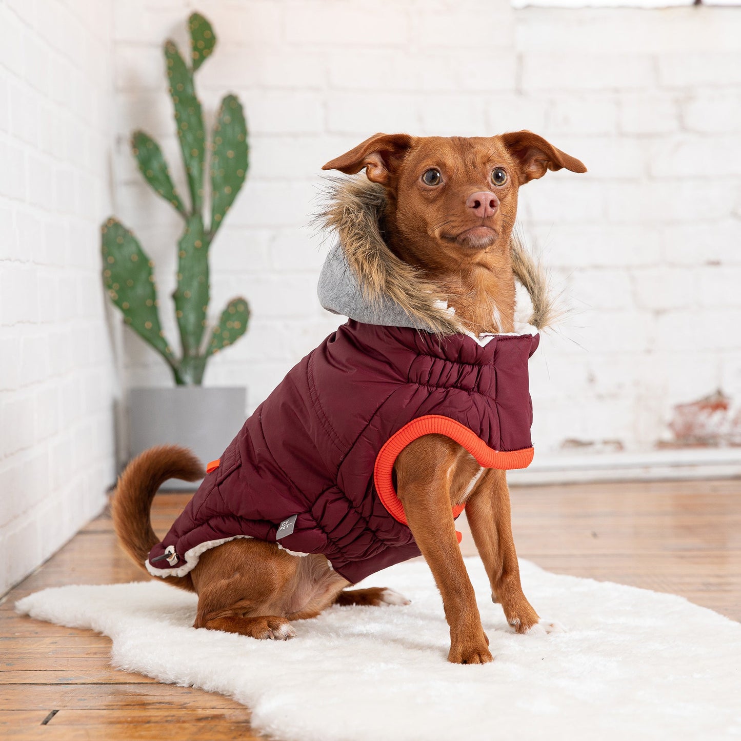 Dog Jacket – Winter Sailor Burgundy Vegan Fur