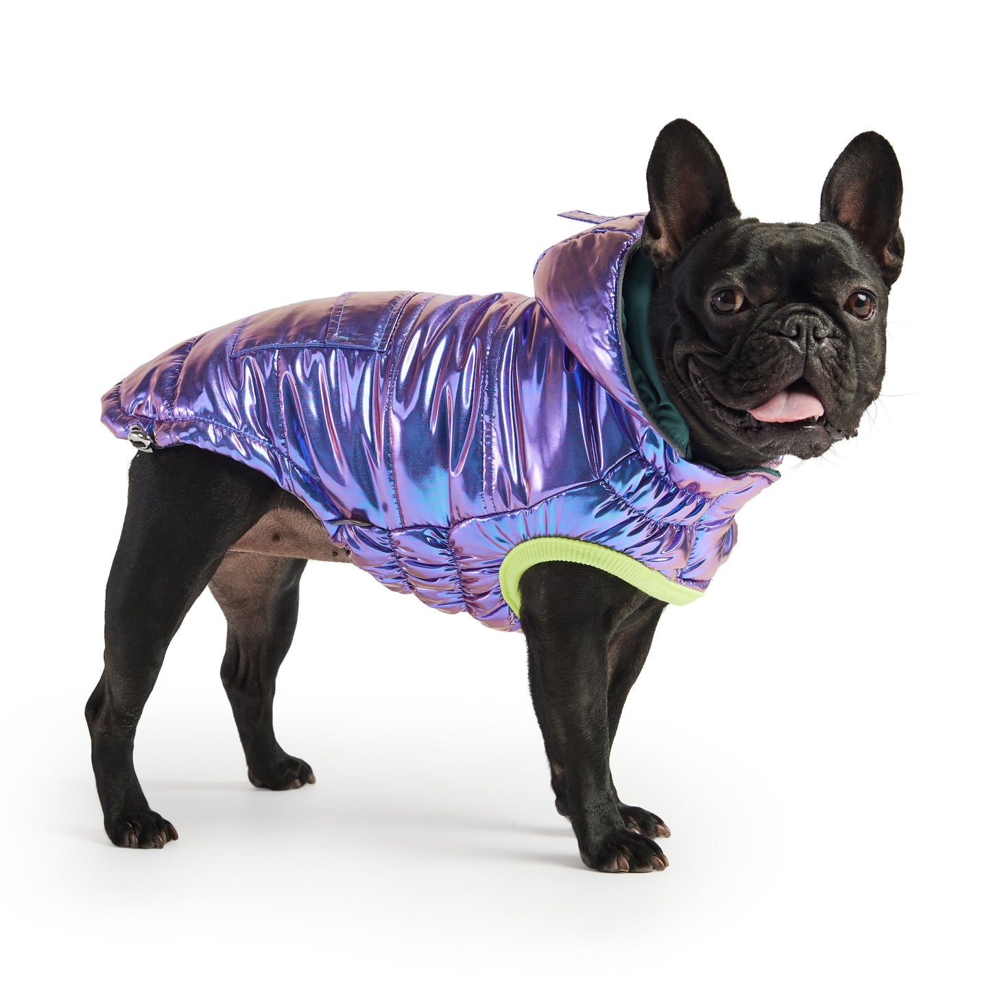 Dog Parka – Recycled Polyester Iridescent