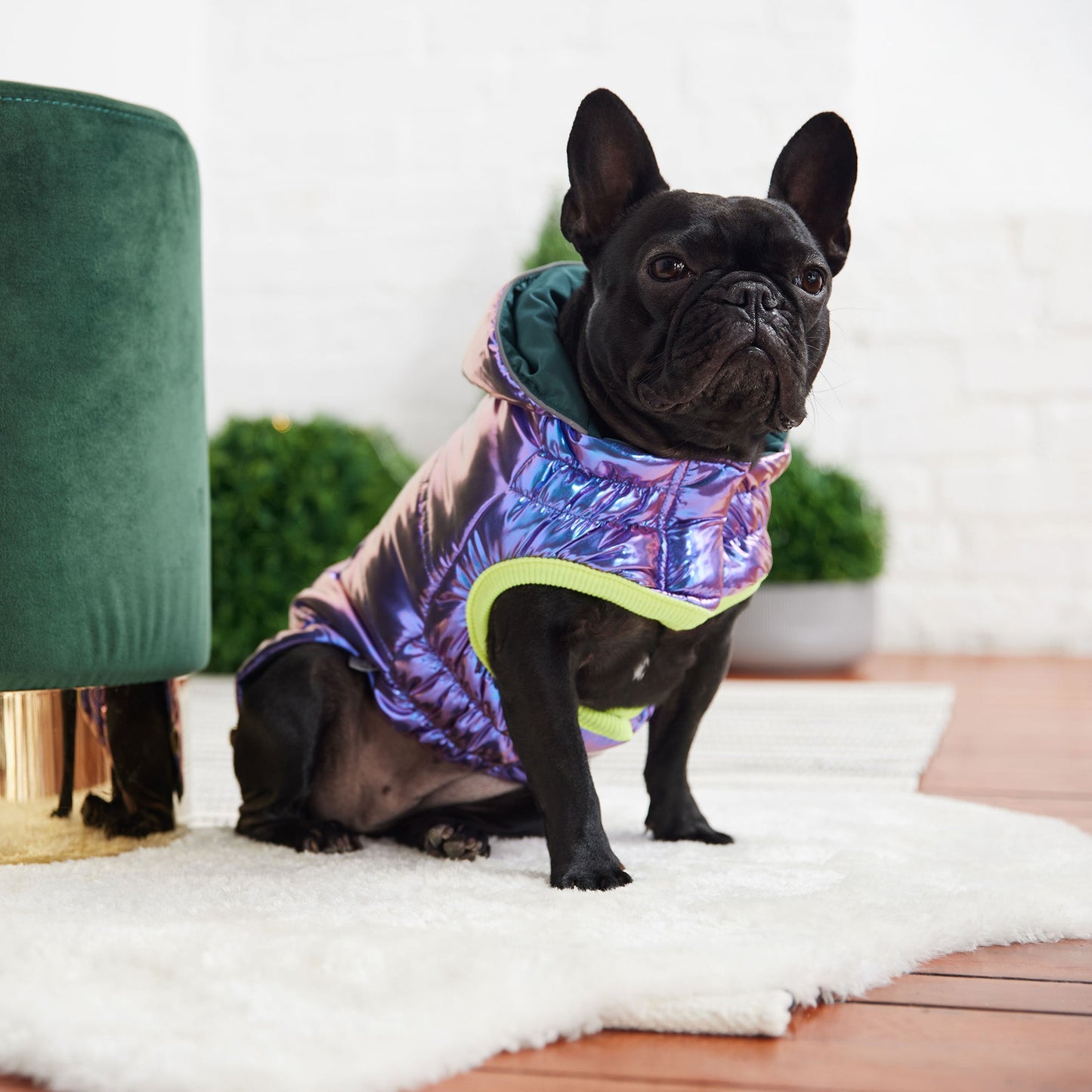 Dog Parka – Recycled Polyester Iridescent
