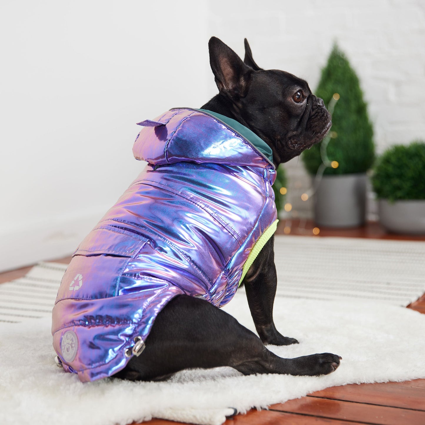 Dog Parka – Recycled Polyester Iridescent